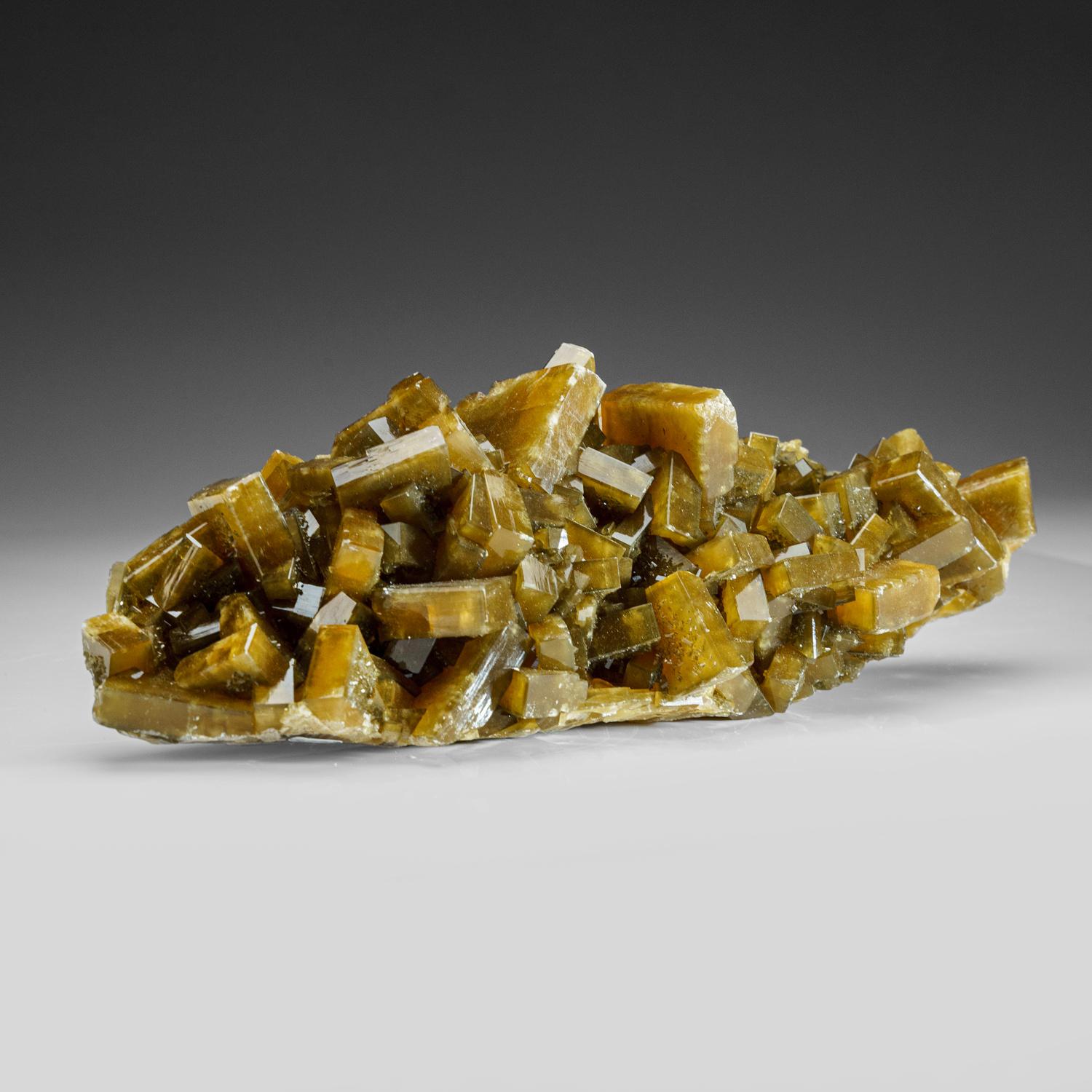 Contemporary Golden Barite with Marcasite Crystals from Nandan County, Hechi, Guangxi, China For Sale