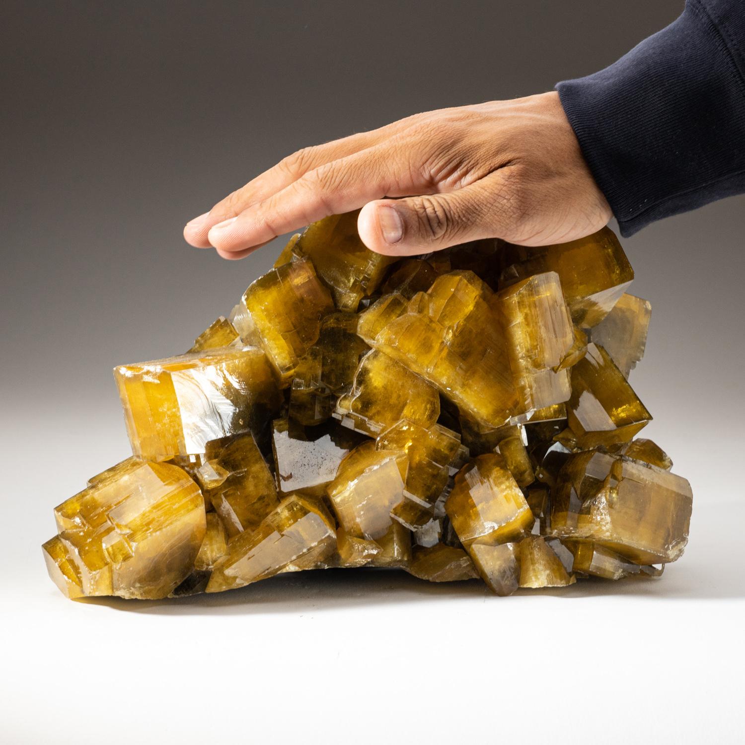 Barita dorada con cristales de marcasita del condado de Nandan, Hechi, Guangxi, China en Nuevo estado para la venta en New York, NY
