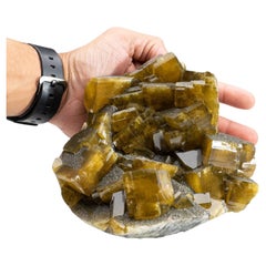 Golden Barite with Marcasite Crystals from Nandan County, Hechi, Guangxi, China