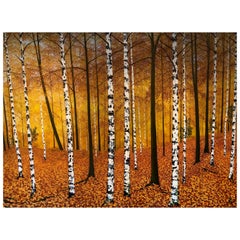 "Golden Birches" Contemporary Oil Painting by David Williams