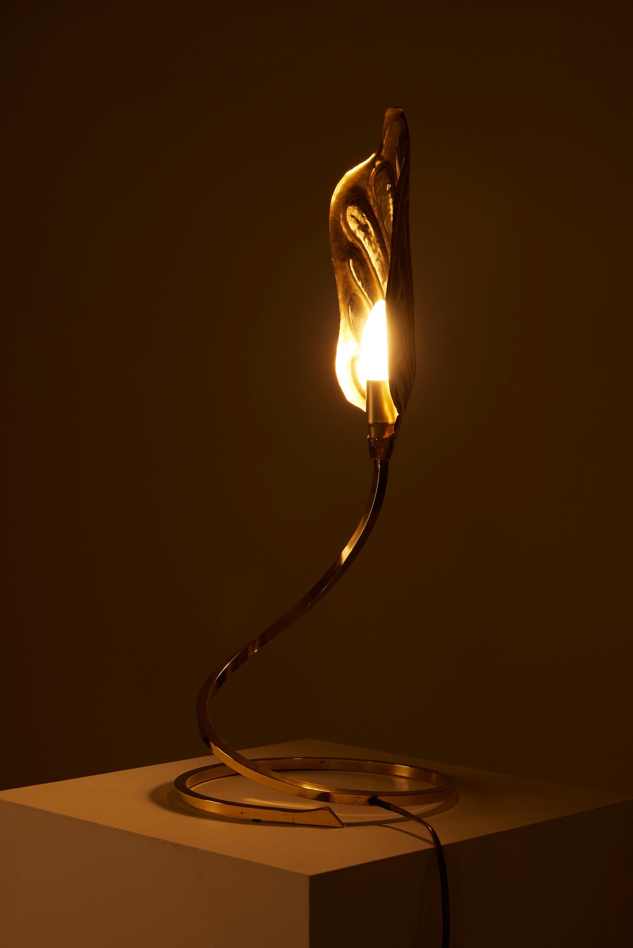 20th Century Golden brass lamp by Tommaso Barbi For Sale