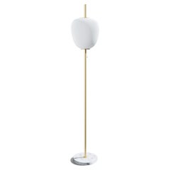 Golden Brass Tall J14 Floor Lamp by Disderot