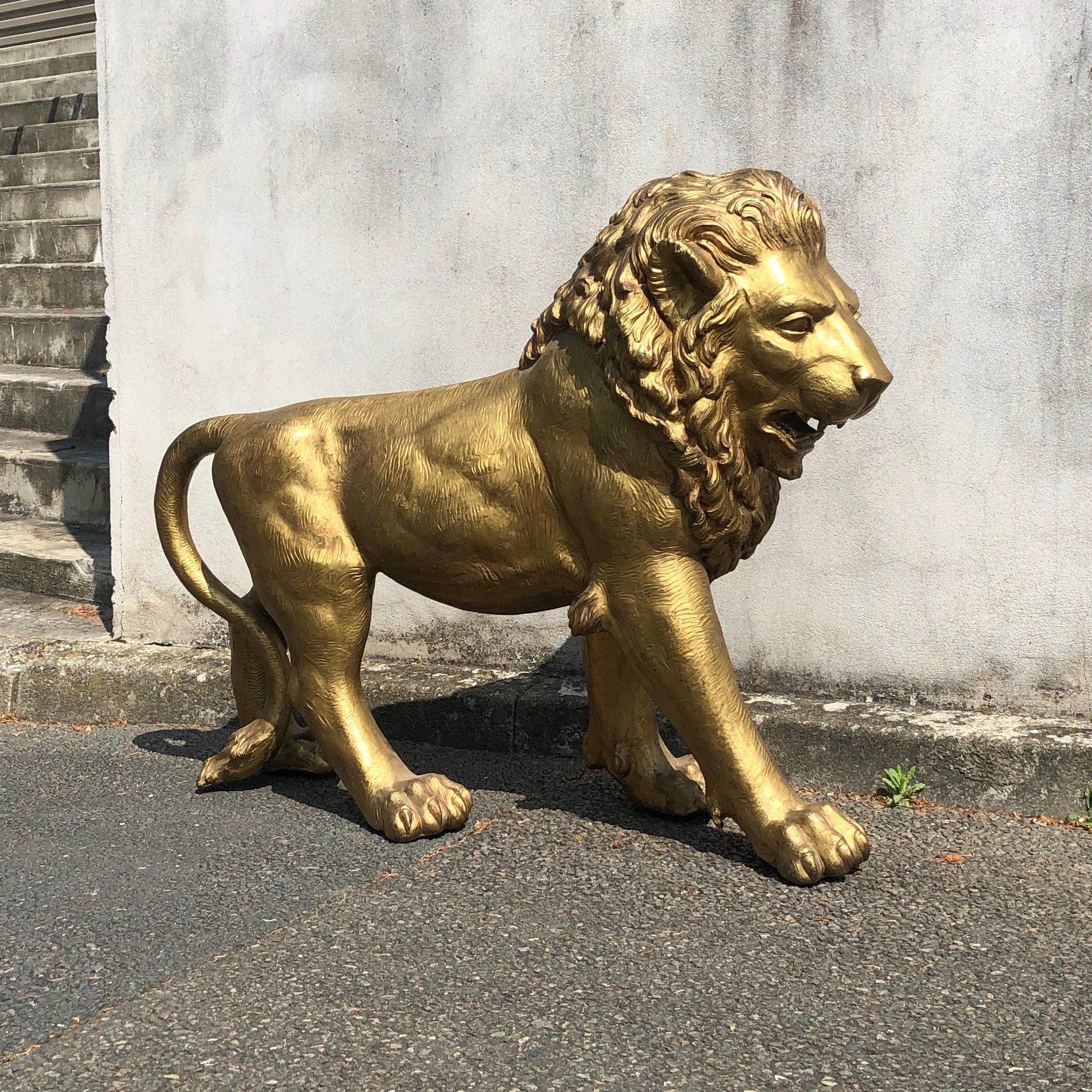 European Golden Bronze Animal Sculpture Representing a Lion from Paris from 1940s
