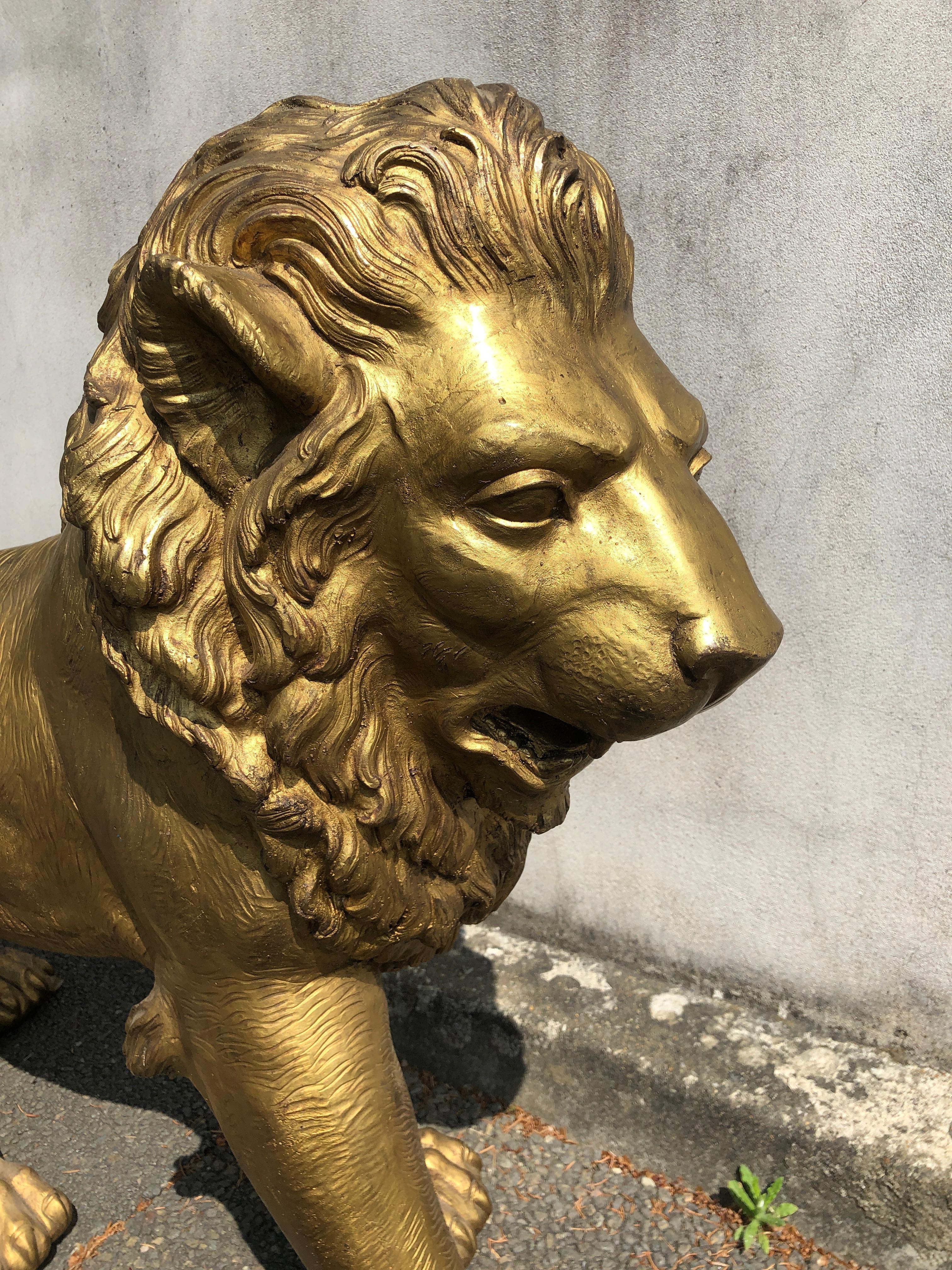 20th Century Golden Bronze Animal Sculpture Representing a Lion from Paris from 1940s
