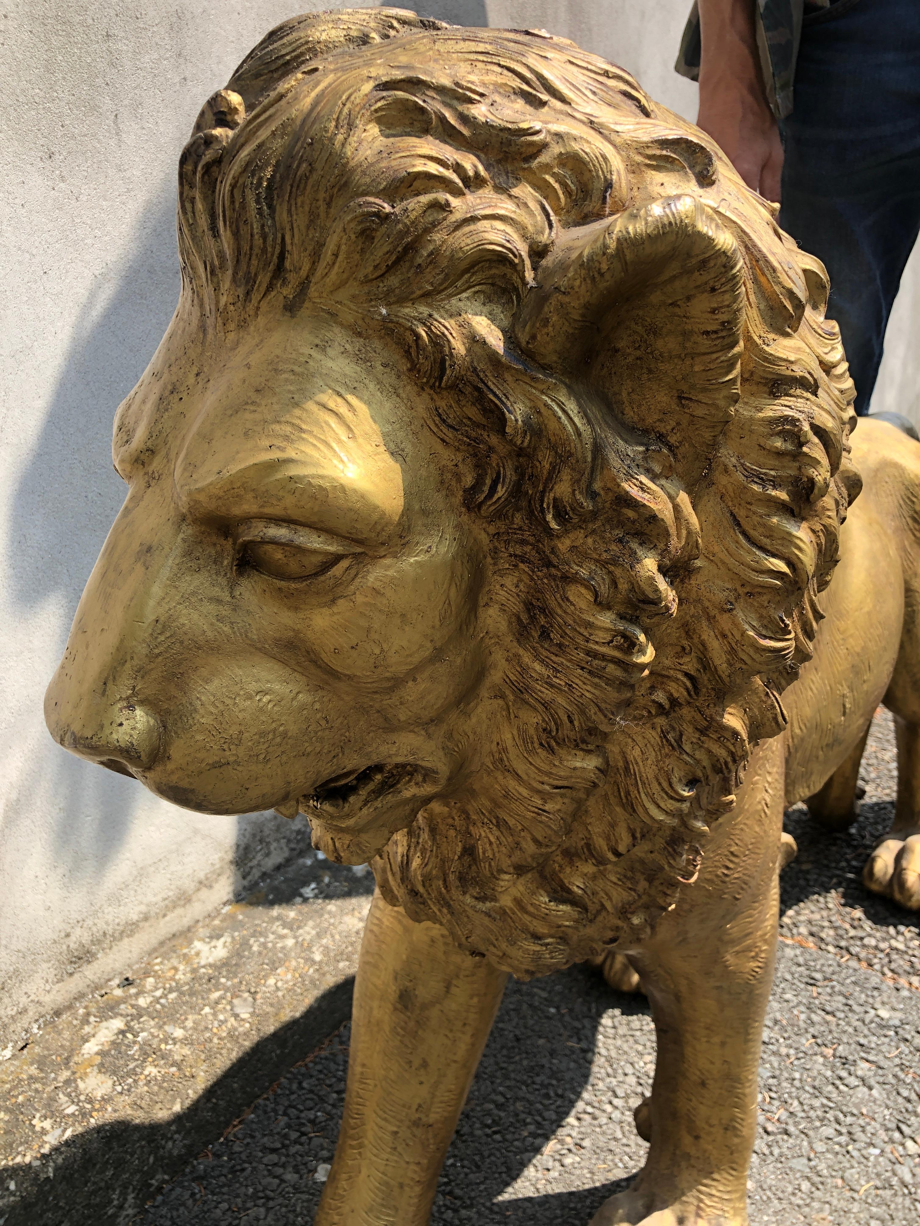 Golden Bronze Animal Sculpture Representing a Lion from Paris from 1940s 1