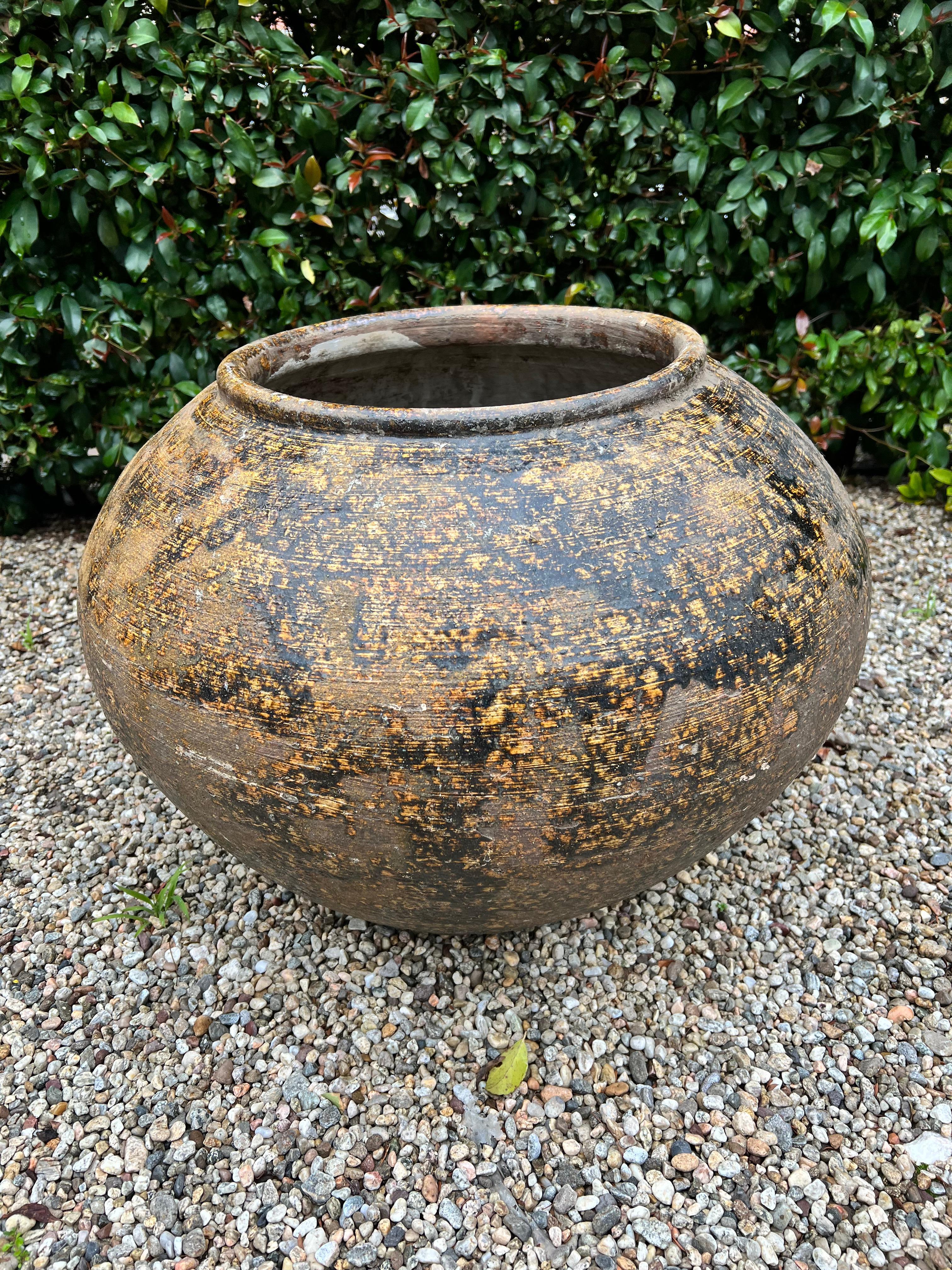 A wonderful large terracotta planter - the piece is a unique shape, with color and patinated glaze ideal for neutral interiors, and perfect for any garden or patio setting.

The size can handle a bush sized plant or a modest smaller tree like