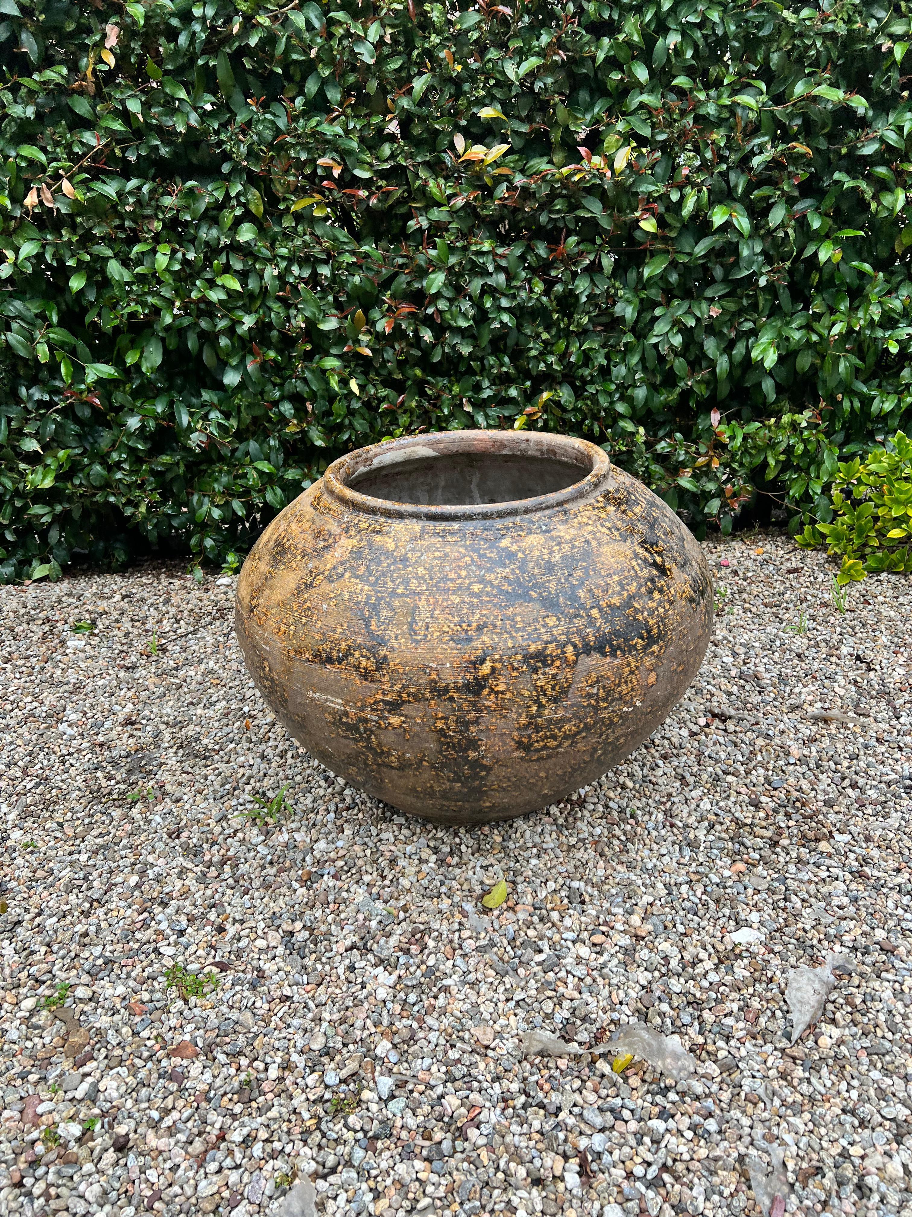 Golden Brown Patinated Glazed Terracotta Planter For Sale 1