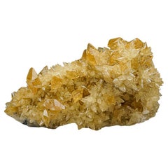 Goldener Calcite-Kristall-Cluster aus Ulmenholzminen-Cluster aus Tennessee