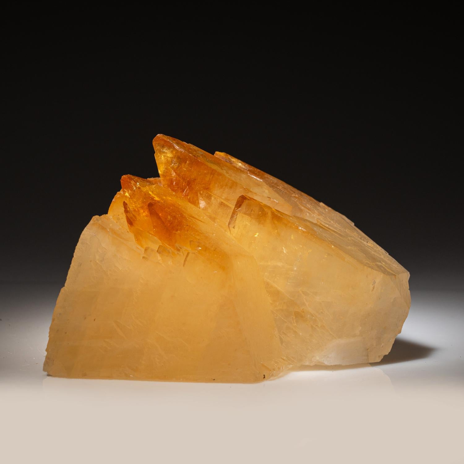 Grande calcite de qualité musée, transparente et lustrée, de couleur or foncé, avec un petit cristal de sphalérite à la base du cristal. Scalénoédrique à double terminaison, jumelé sur l'axe C, avec des faces rentrantes bien définies et des faces