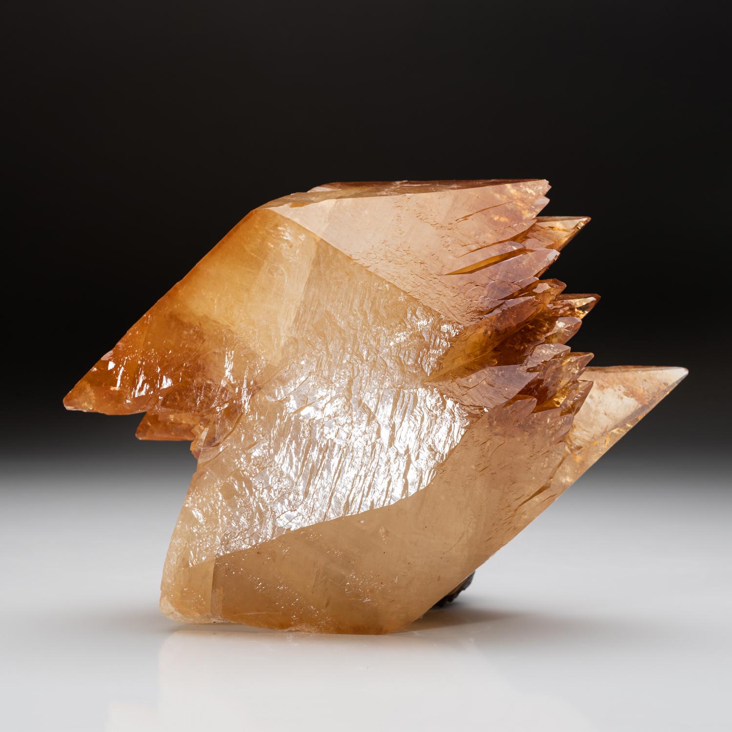 Lustrous transparent deep golden calcite crystal on matrix. Large double terminated scalenohedral twinned on the C-axis with well defined re-entrant faces. Small sphalerite crystal embedded on the back of the specimen.

5.5 lbs, 3.5 x 6.5 x 6.5