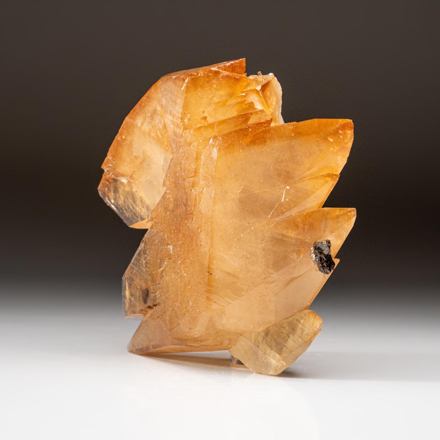Lustrous transparent deep golden calcite crystal on matrix. Large double terminated scalenohedral twinned on the C-axis with well defined re-entrant faces. Small sphalerite crystal embedded on the back of the specimen.

 

3 lbs, 7.5 x 6.5 x 2.5
