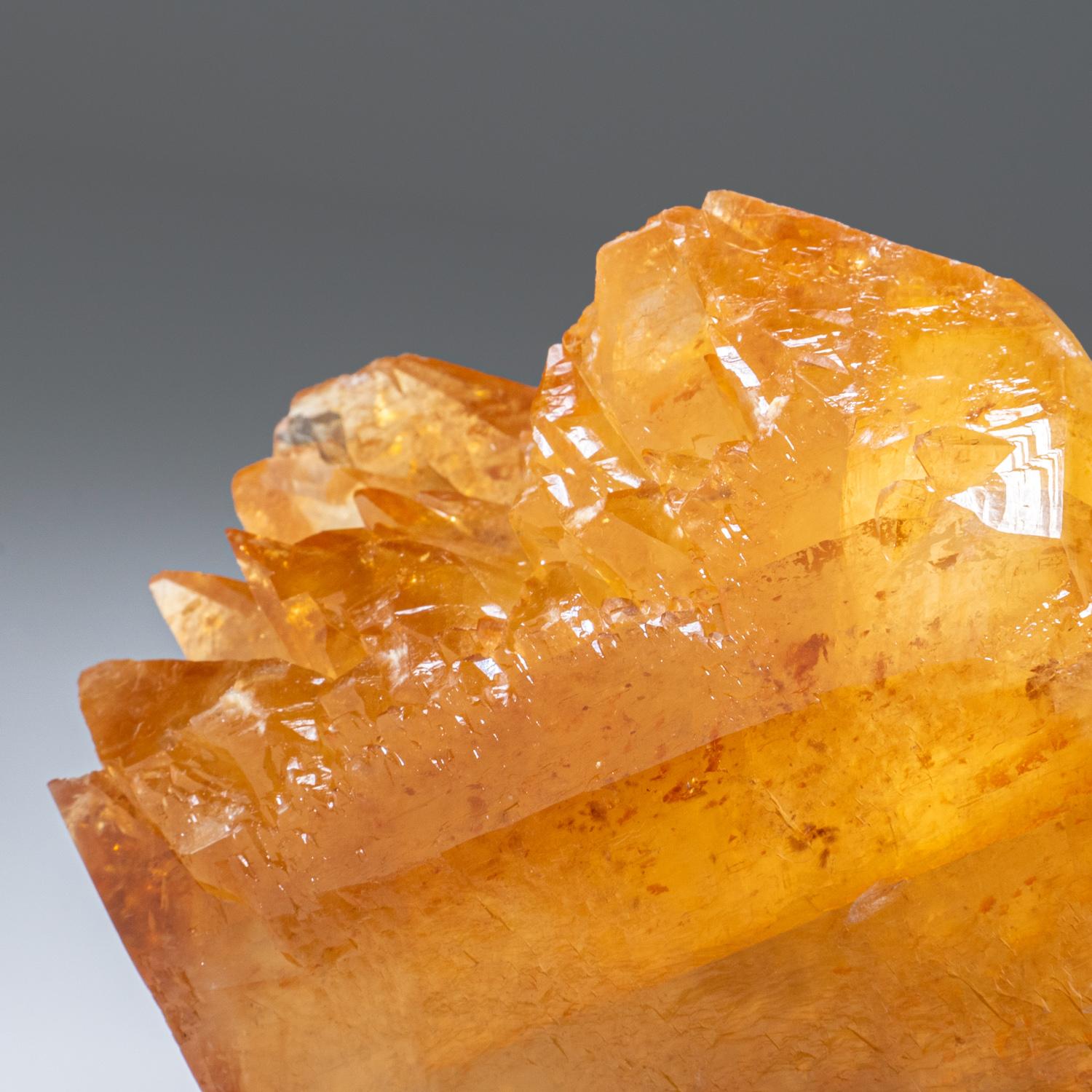 Goldenes Calcite aus Ulmenholzminen, Carthage, Smith County, Tennessee (amerikanisch) im Angebot