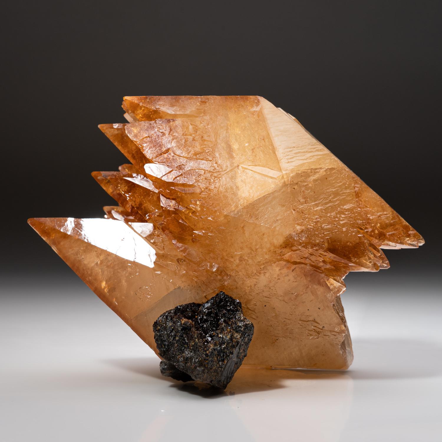 Goldenes Calcite aus der Ulmenholz-Mine, Carthage, Smith County, Tennessee (Sonstiges) im Angebot