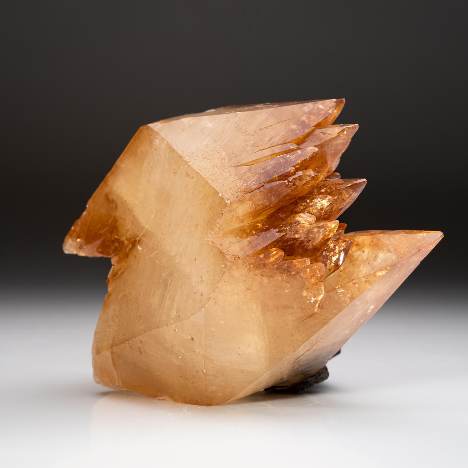 Goldenes Calcite aus der Ulmenholz-Mine, Carthage, Smith County, Tennessee im Angebot 1