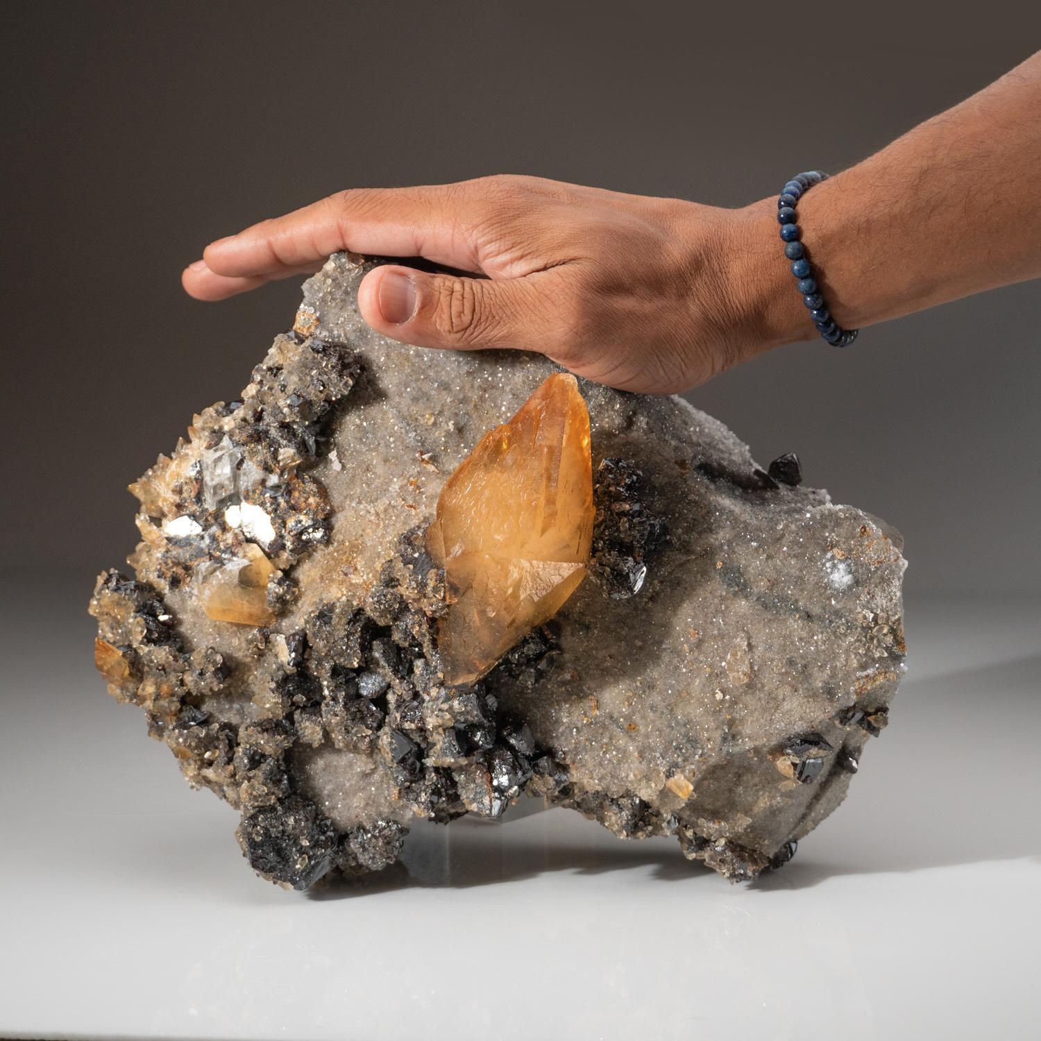 De la mine Elmwood, Carthage, Tennessee

Grand amas esthétique de cristaux de sphalérite noire très lustrée sur une matrice recouverte de quartz avec des micro cristaux de calcite dorée. Grande grappe de 360 degrés avec un éclat métallique. Sans