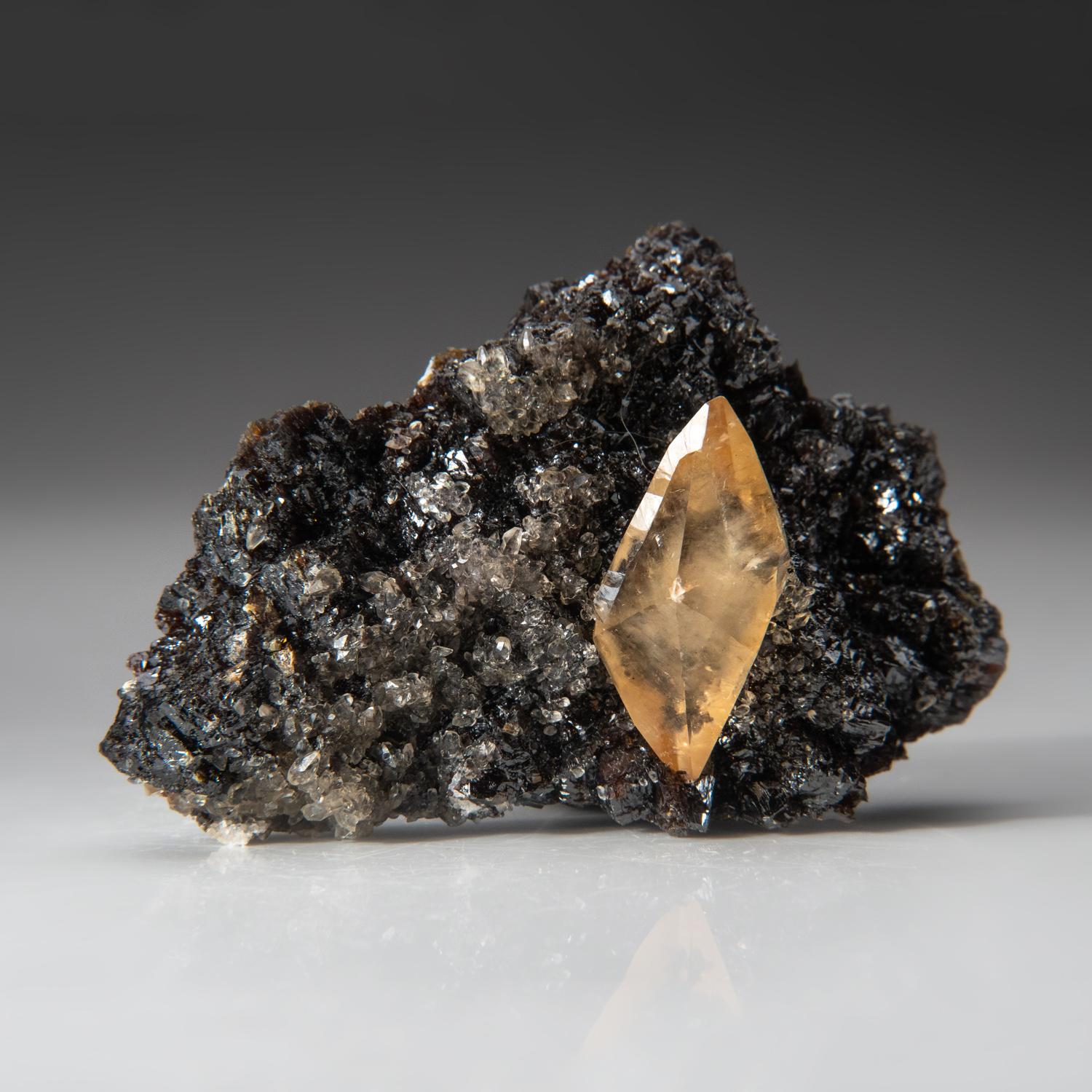 From Elmwood Mine, Carthage, Tennessee

Single double terminated twinned crystal of rich golden calcite on matrix lined with metallic luster sphalerite crystals.The Calcite is in pristine condition, well defined with gem transparent core. 

262.3
