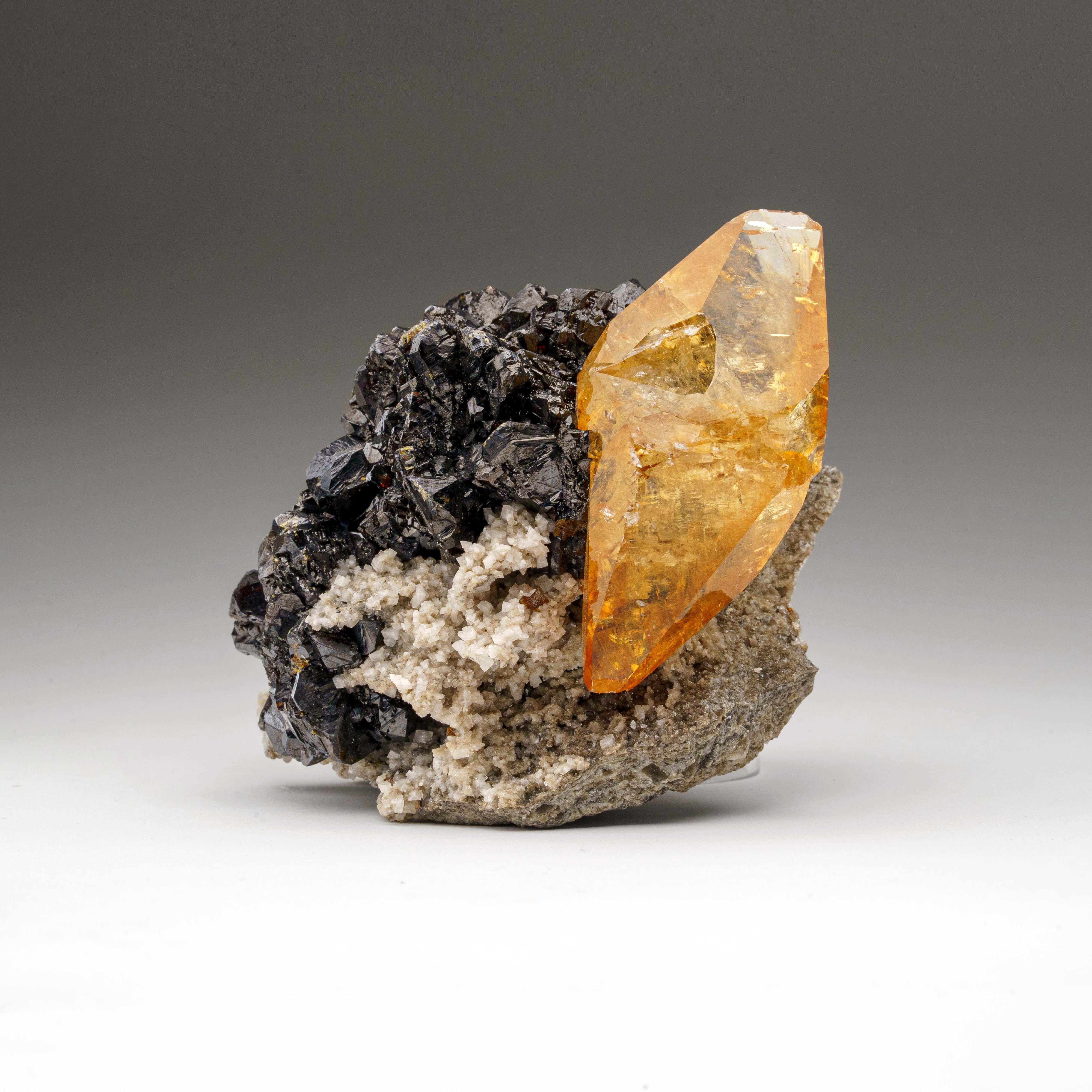 Goldenes Calcite mit Sphaleritkristall aus der Ulmenholz Mine, Tennessee im Zustand „Neu“ im Angebot in New York, NY