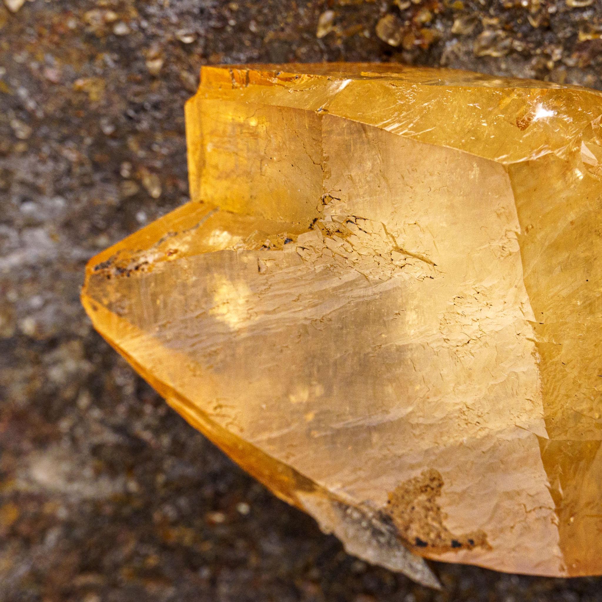 Goldenes Calcite mit Sphaleritkristall aus der Ulmenholz Mine, Tennessee im Angebot 1