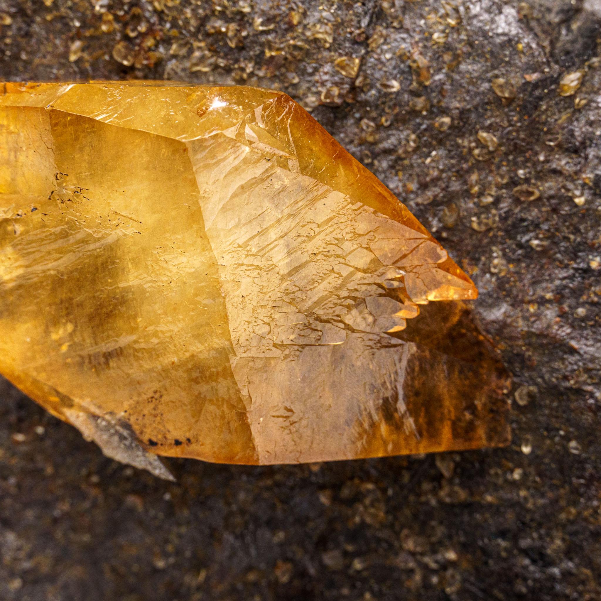 Goldenes Calcite mit Sphaleritkristall aus der Ulmenholz Mine, Tennessee im Angebot 2