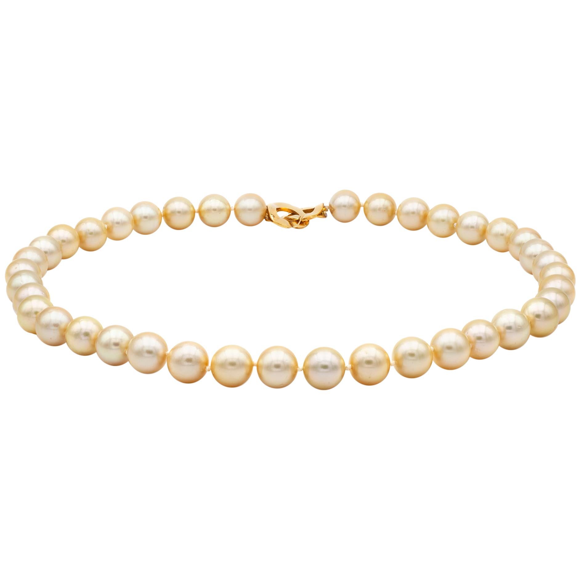 Golden Color South Sea Cultured Pearl Necklace