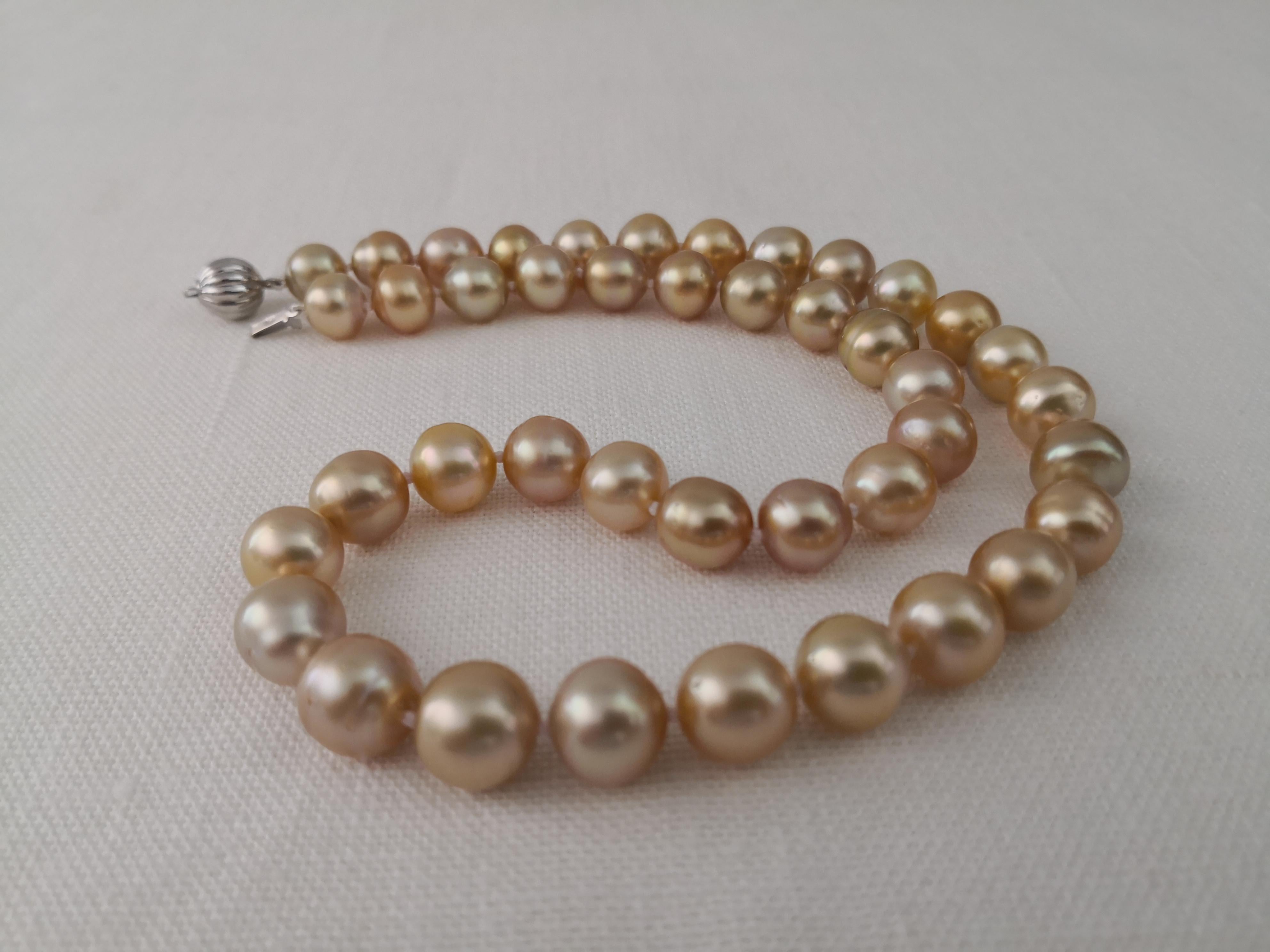 Natural Color South Sea Pearls, from Indonesia ocean waters.

- Size of Pearls 10-11 mm of diameter

- Pearls from Pinctada Maxima Oyster

- Origin: Indonesia ocean waters

- Natural  Golden Color and mixed overtones

- High natural luster and