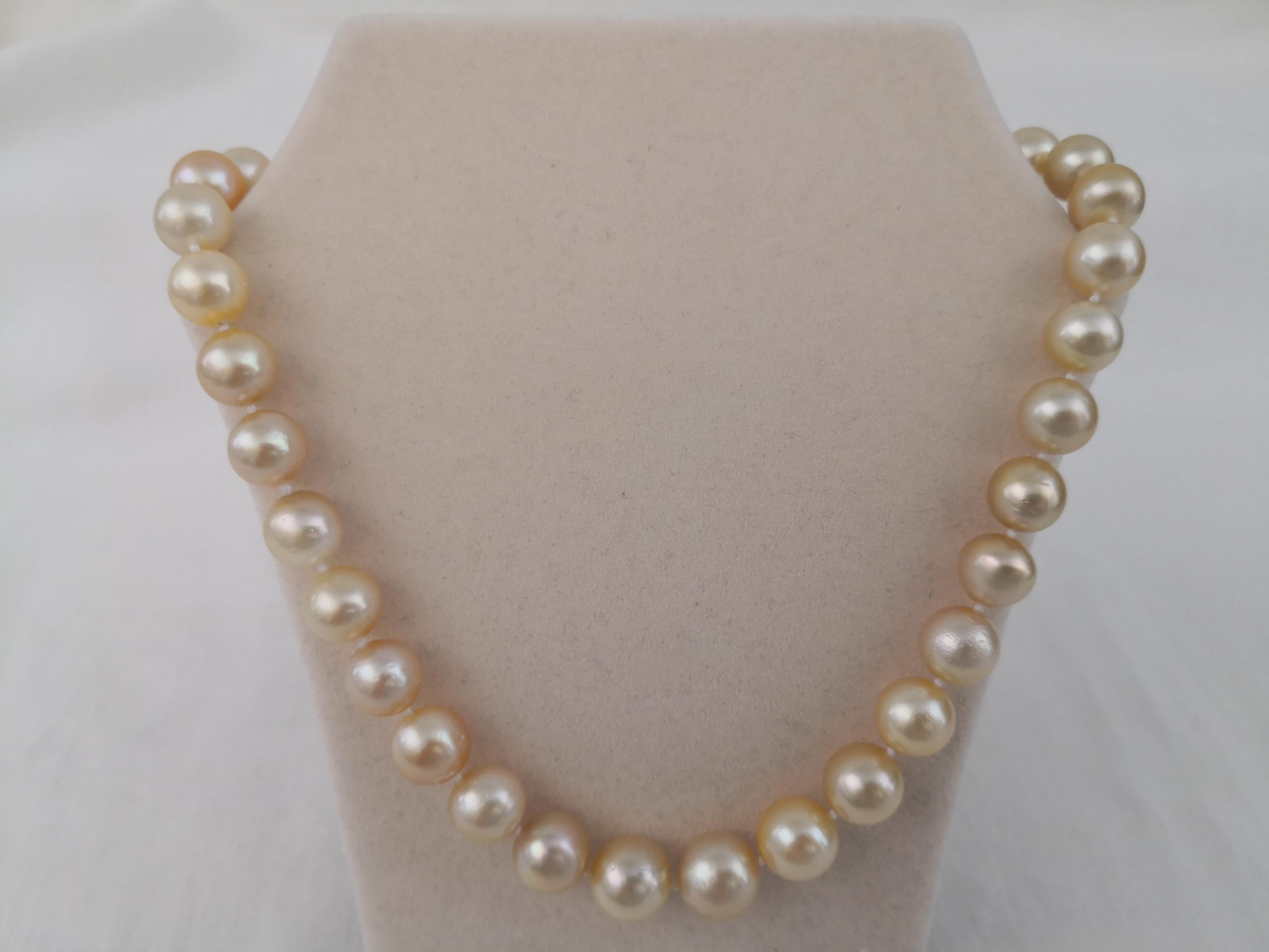 A Natural Color South Sea Pearls necklace

- Size of Pearls 11-13 mm of diameter

- Pearls from Pinctada Maxima Oyster

- Origin: Indonesia ocean waters

-  Natural  Golden Color pearls

-   Natural luster and orient

-  Pearls of Near Round