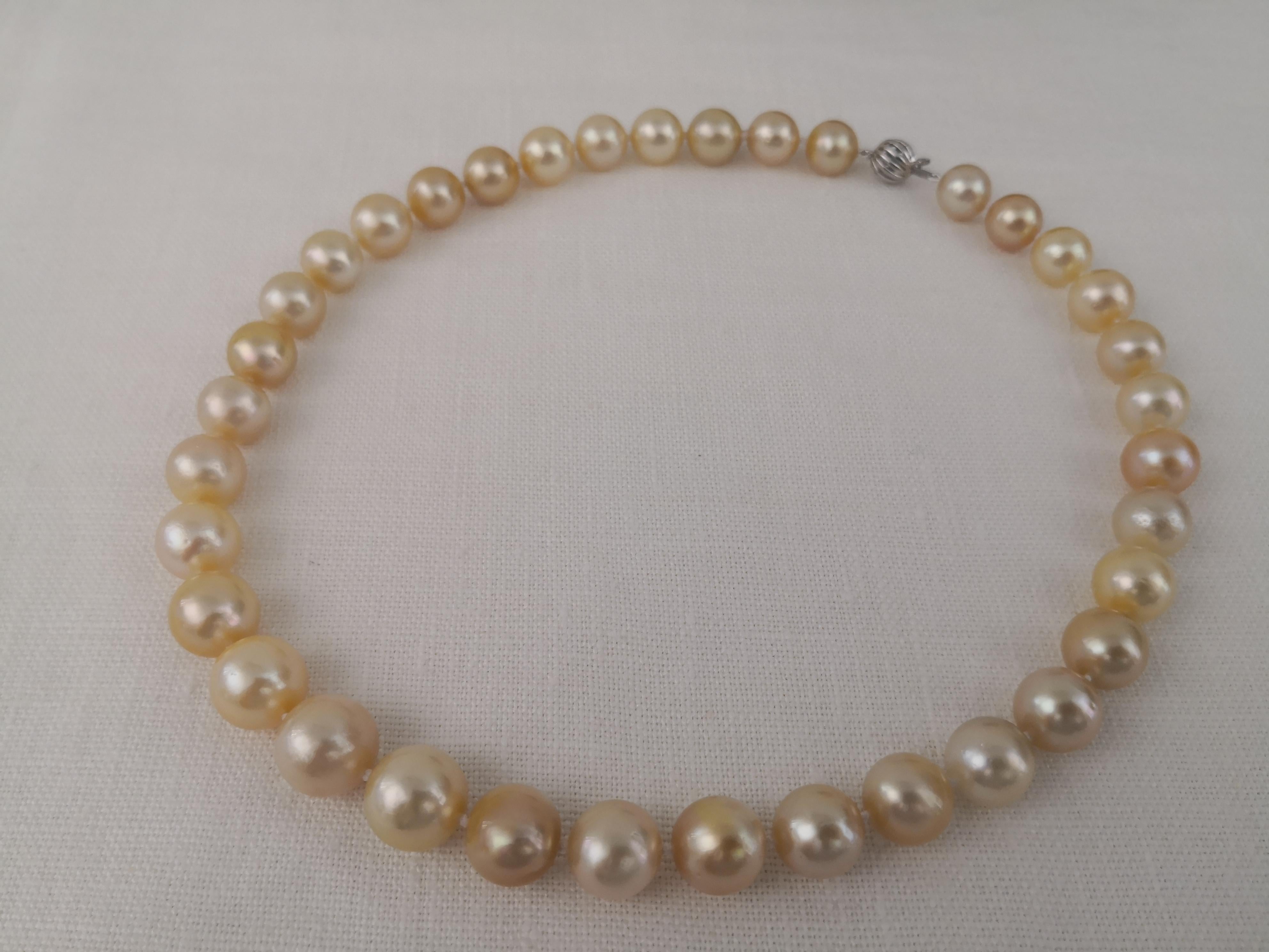 Golden Color South Sea Pearls Round Shape In New Condition For Sale In Cordoba, ES