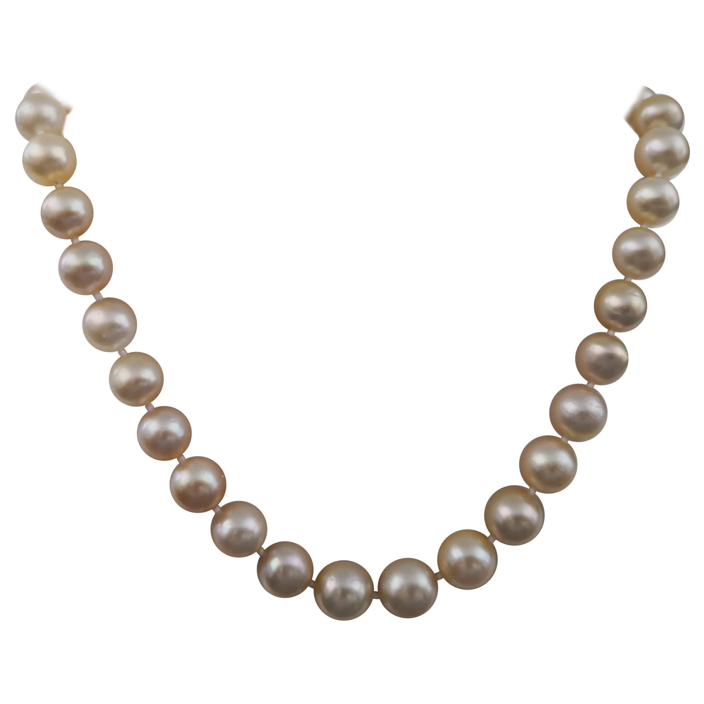 Golden Color South Sea Pearls Round Shape For Sale