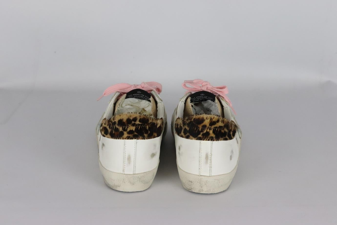 golden goose canvas
