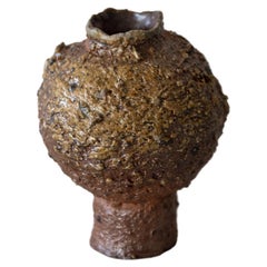 Golden Hue Moon Jar, Highly Textured Wood-fired Fine Art Ceramic, Ilona Golovina