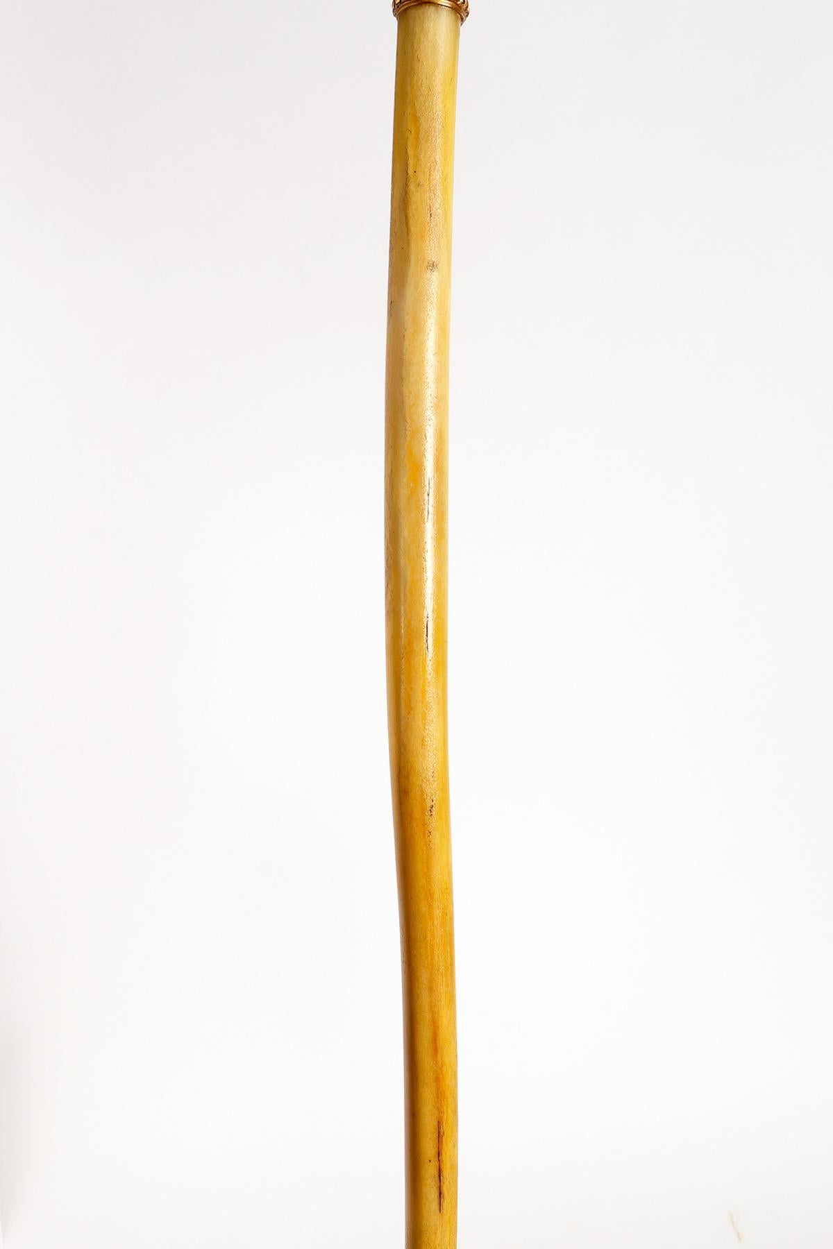 Golden iron handle walking stick with acorn, Berlin, Germany 1840. For Sale 6