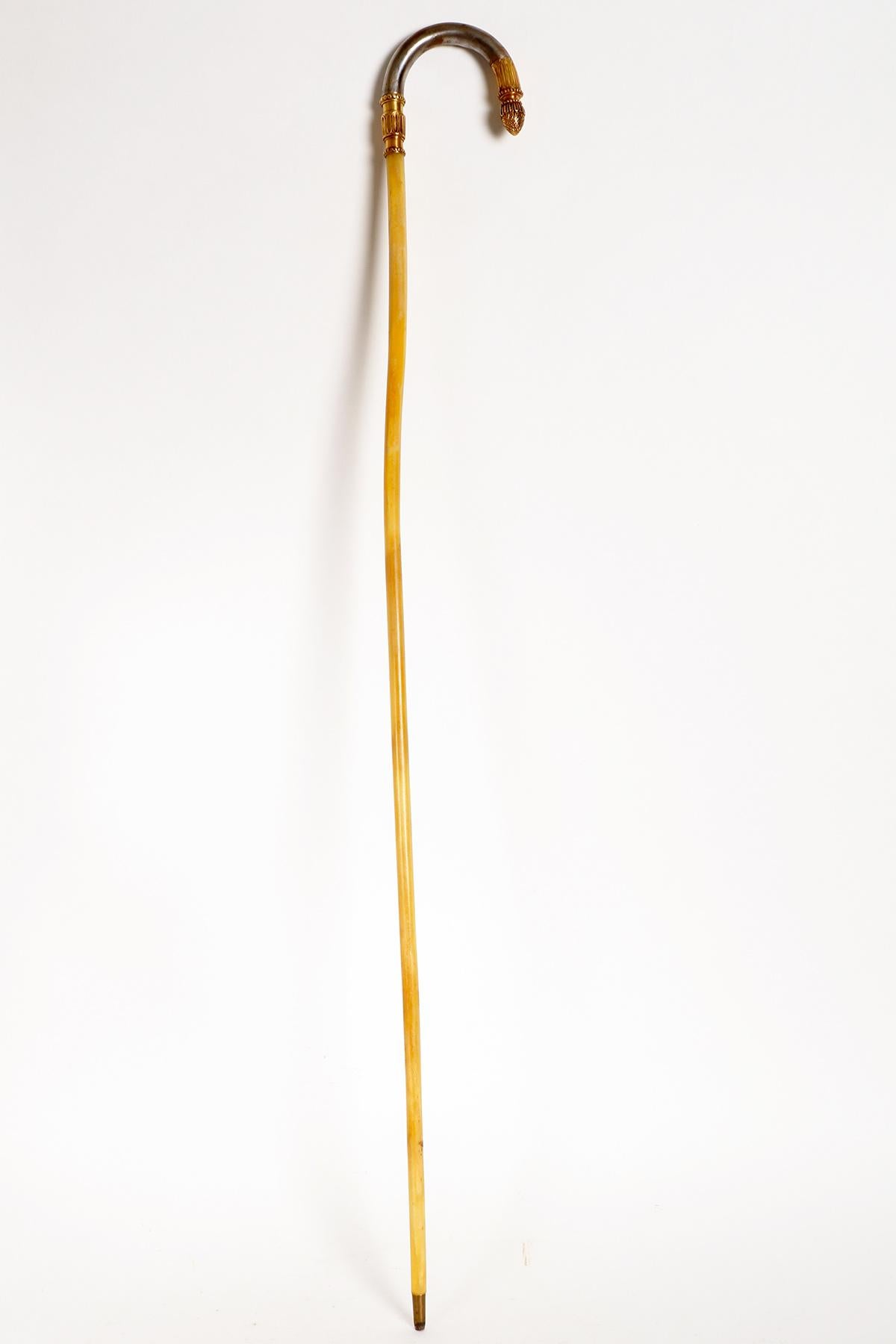 Golden iron handle walking stick with acorn, Berlin, Germany 1840. For Sale 8