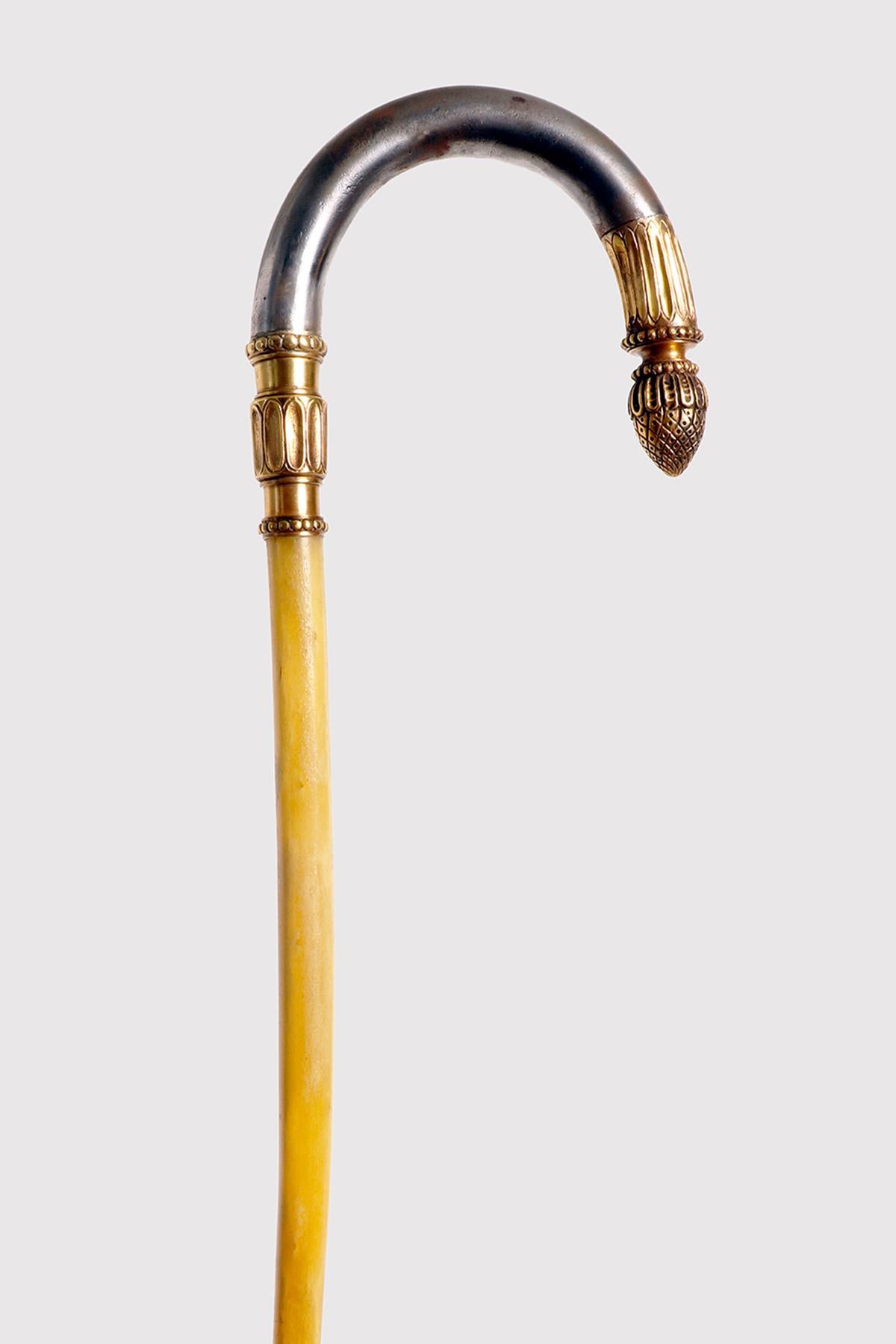 Golden iron handle walking stick with acorn, Berlin, Germany 1840. In Good Condition For Sale In Milan, IT