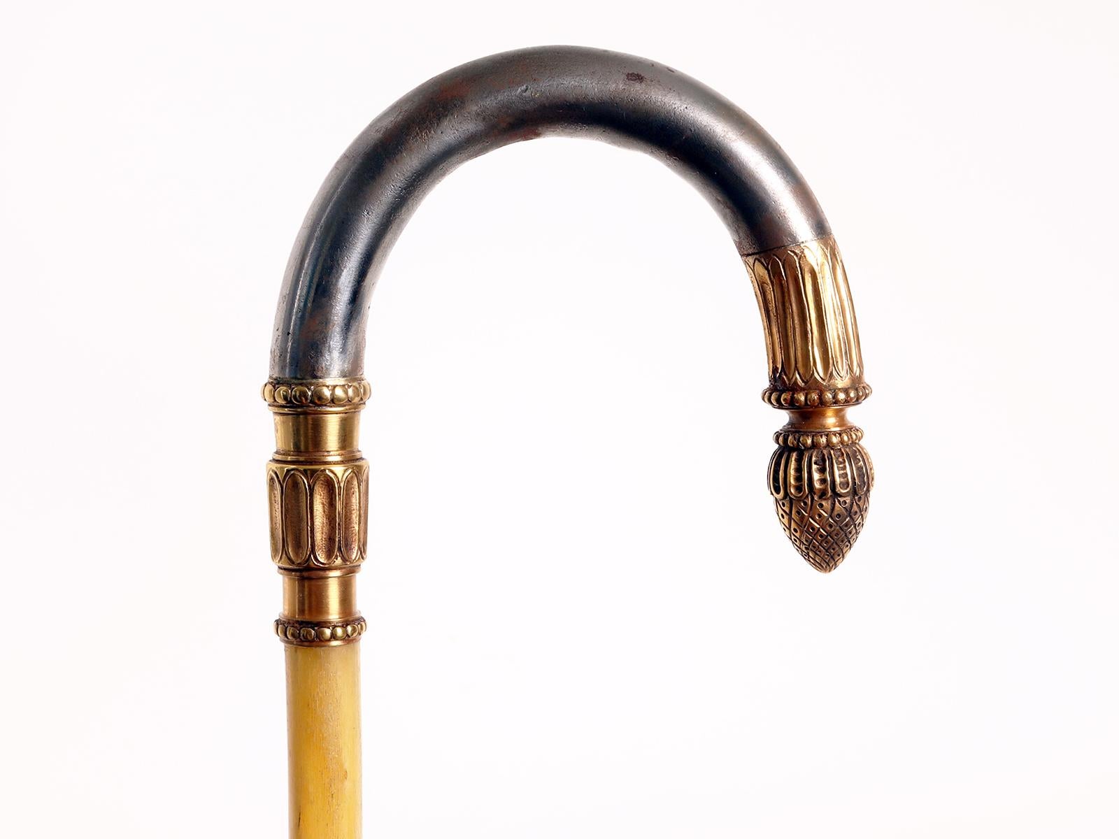 19th Century Golden iron handle walking stick with acorn, Berlin, Germany 1840. For Sale