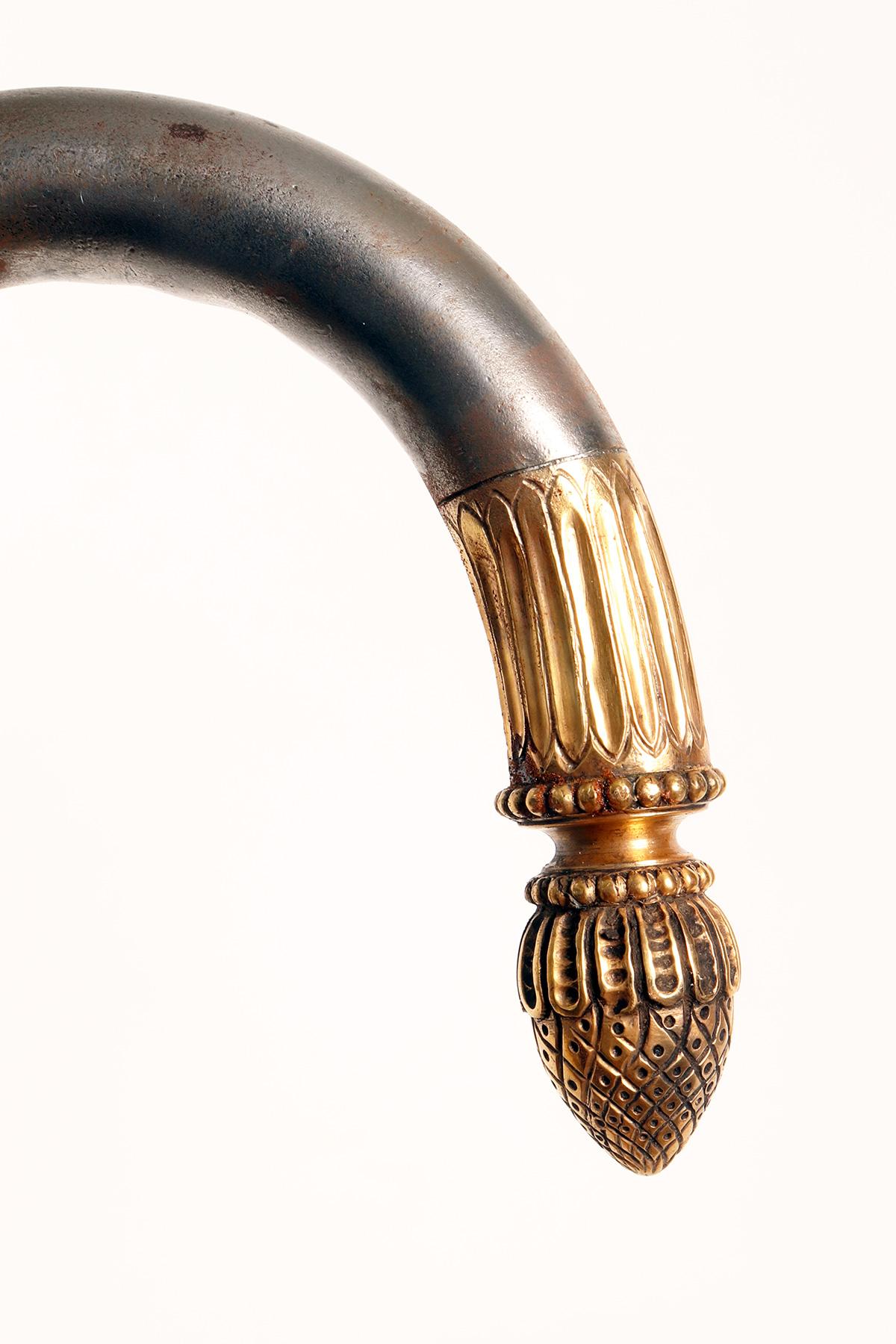 Golden iron handle walking stick with acorn, Berlin, Germany 1840. For Sale 2