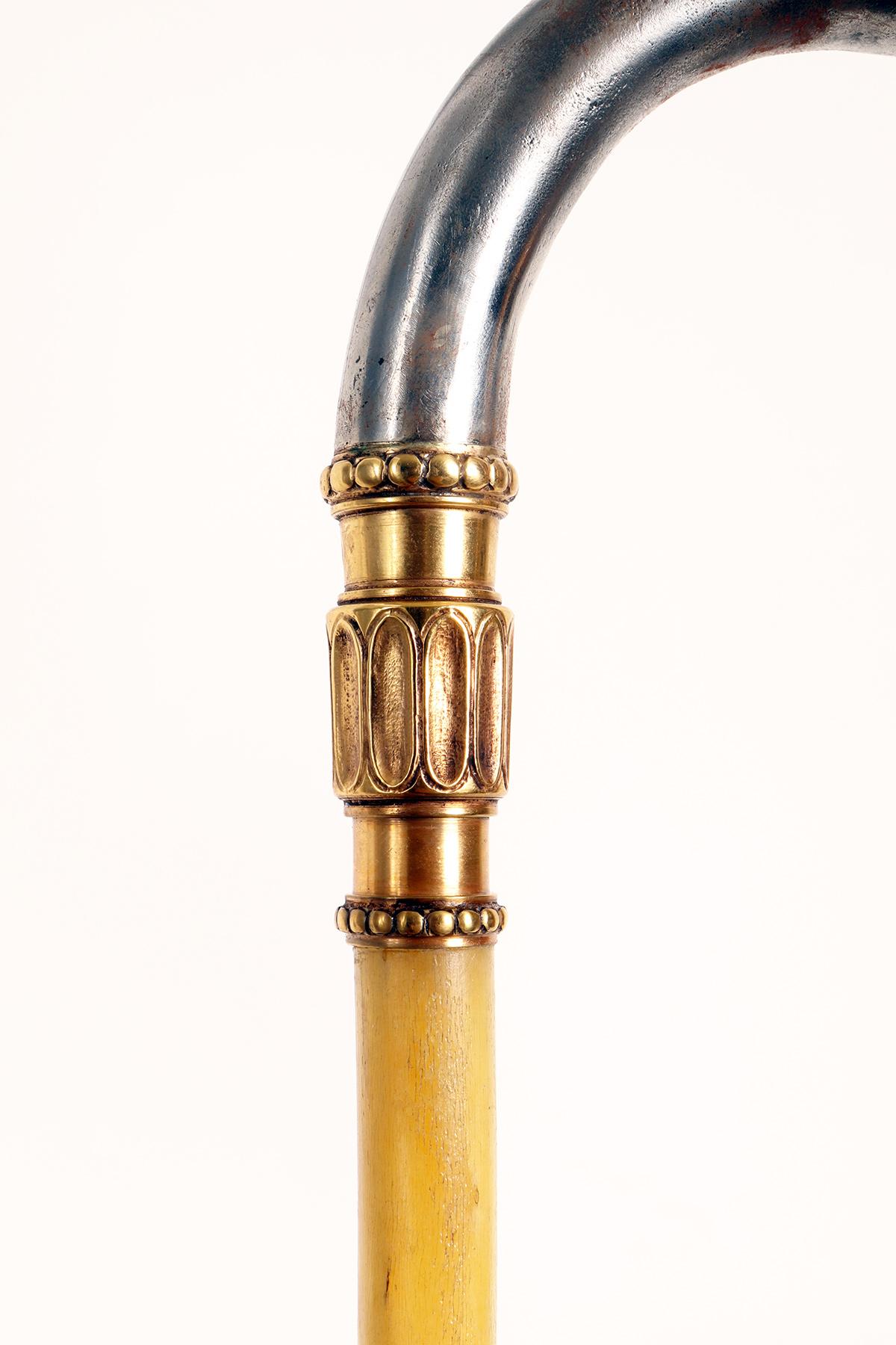 Golden iron handle walking stick with acorn, Berlin, Germany 1840. For Sale 3