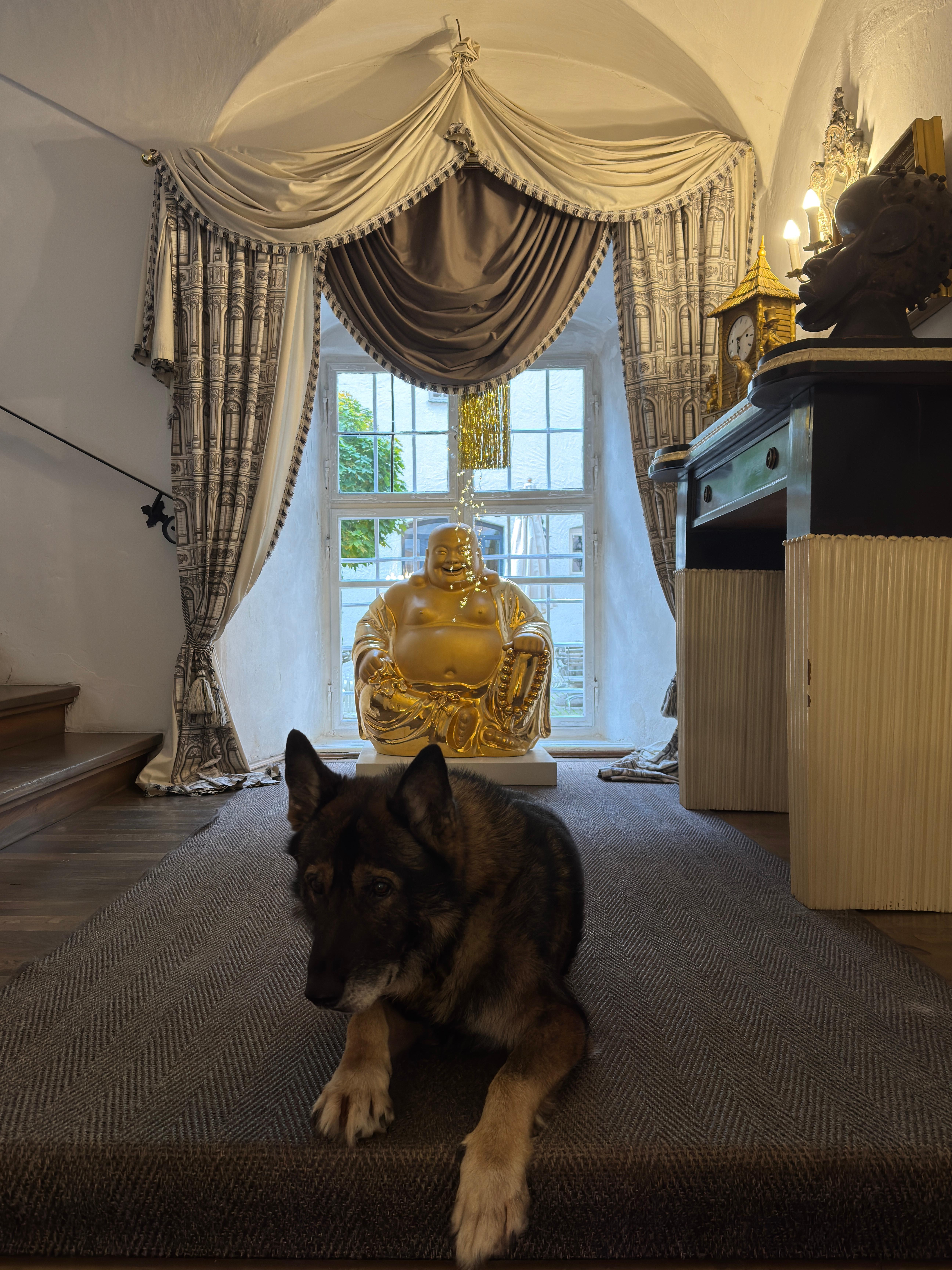 Sconosciuto Buddha ridente d'oro in porcellana, XX secolo in vendita