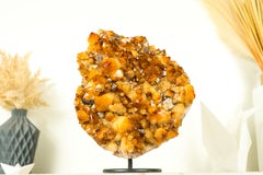 Golden Orange Citrine Cluster Formed as a Citrine Flower