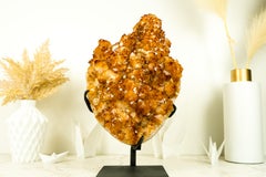 Golden Orange Citrine Cluster with AAA Large Flower Stalactite
