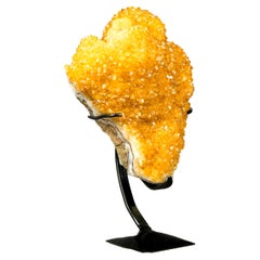 Golden-Orange Citrine Cluster with Stalactite Flower and Galaxy Citrine Druzy