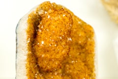 Golden Orange Crystal Citrine Cluster with Intact Flower Stalactite