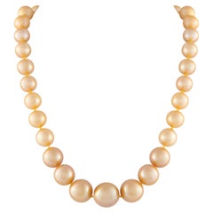 Golden Pearl Necklace MF31-022026