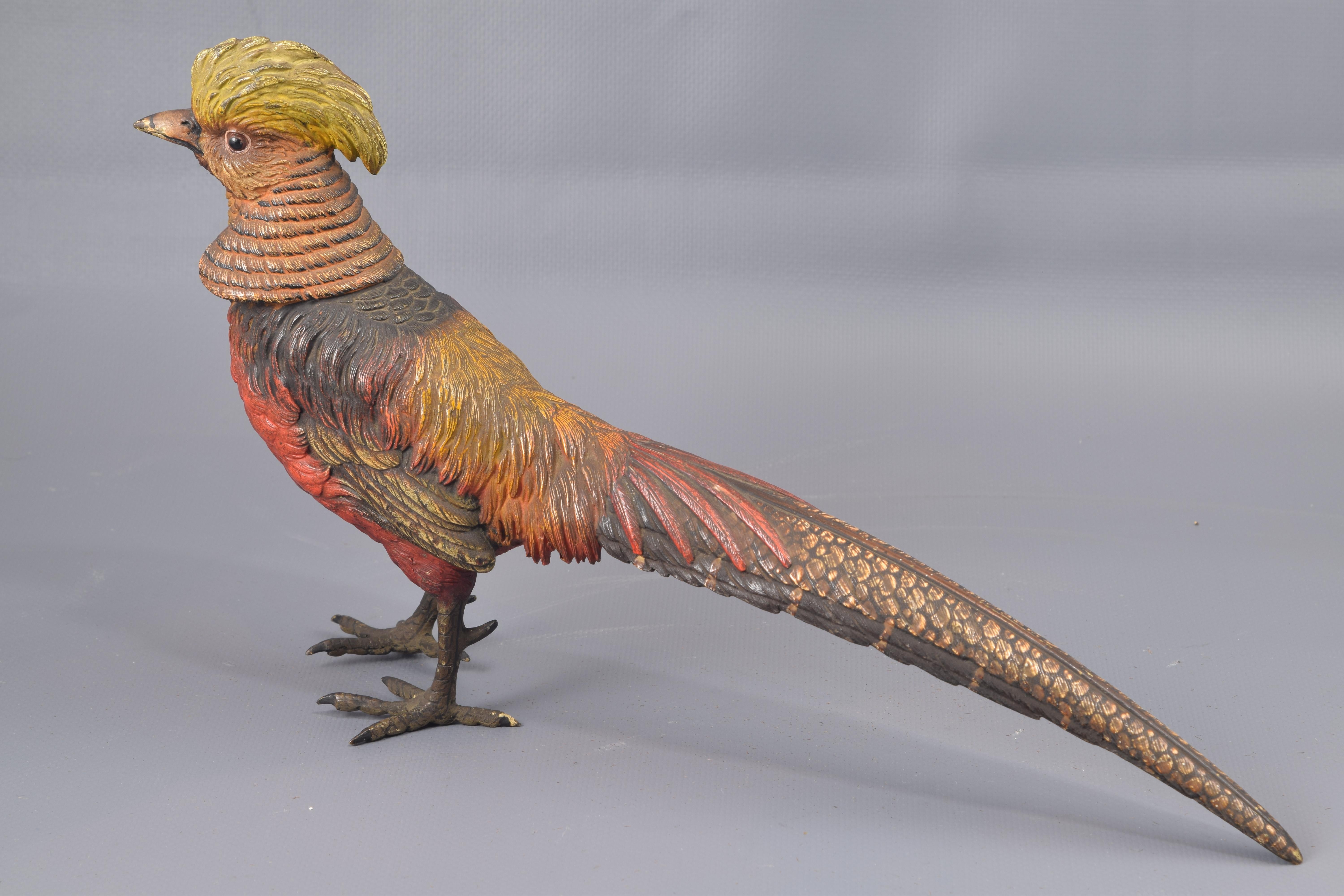 Golden pheasant polychrome bronze Vienna, 19th century
Polychrome bronze figure showing a golden male pheasant perched. A bird native to Asia, it was already known in the West in the 18th century (it appears in the tenth edition of the Systema