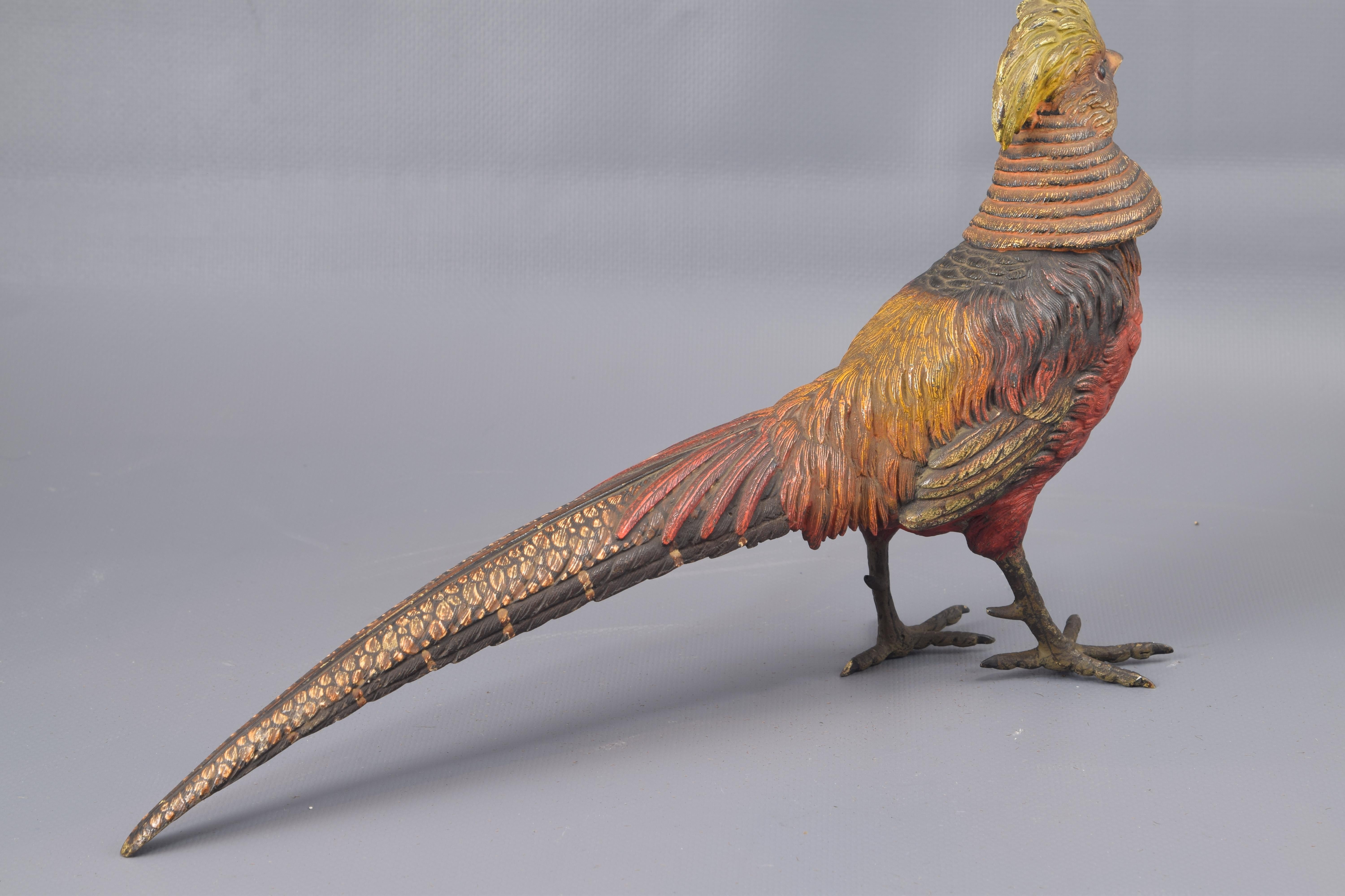 Neoclassical Golden Pheasant Polychrome Bronze Vienna, 19th Century For Sale