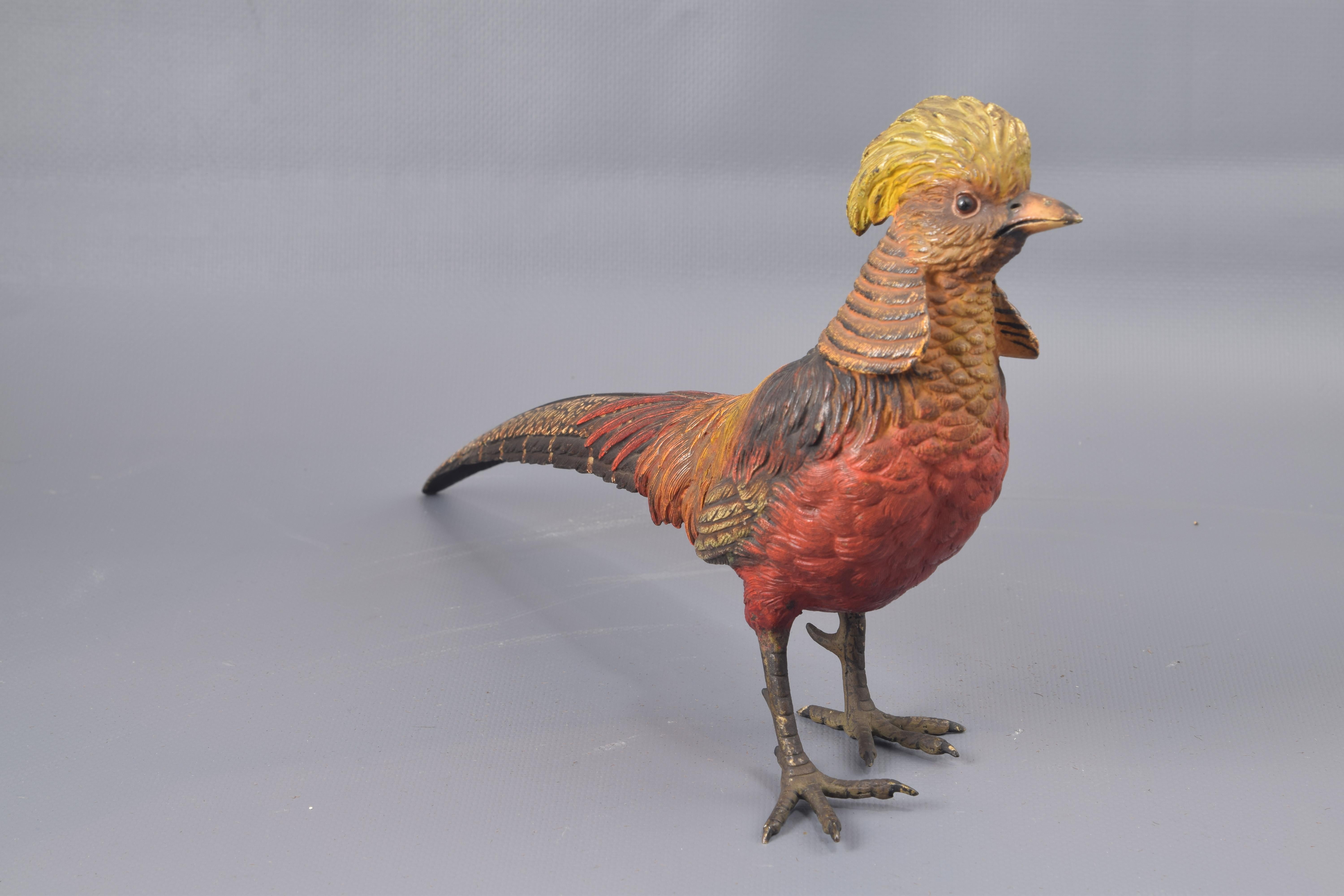 Austrian Golden Pheasant Polychrome Bronze Vienna, 19th Century For Sale