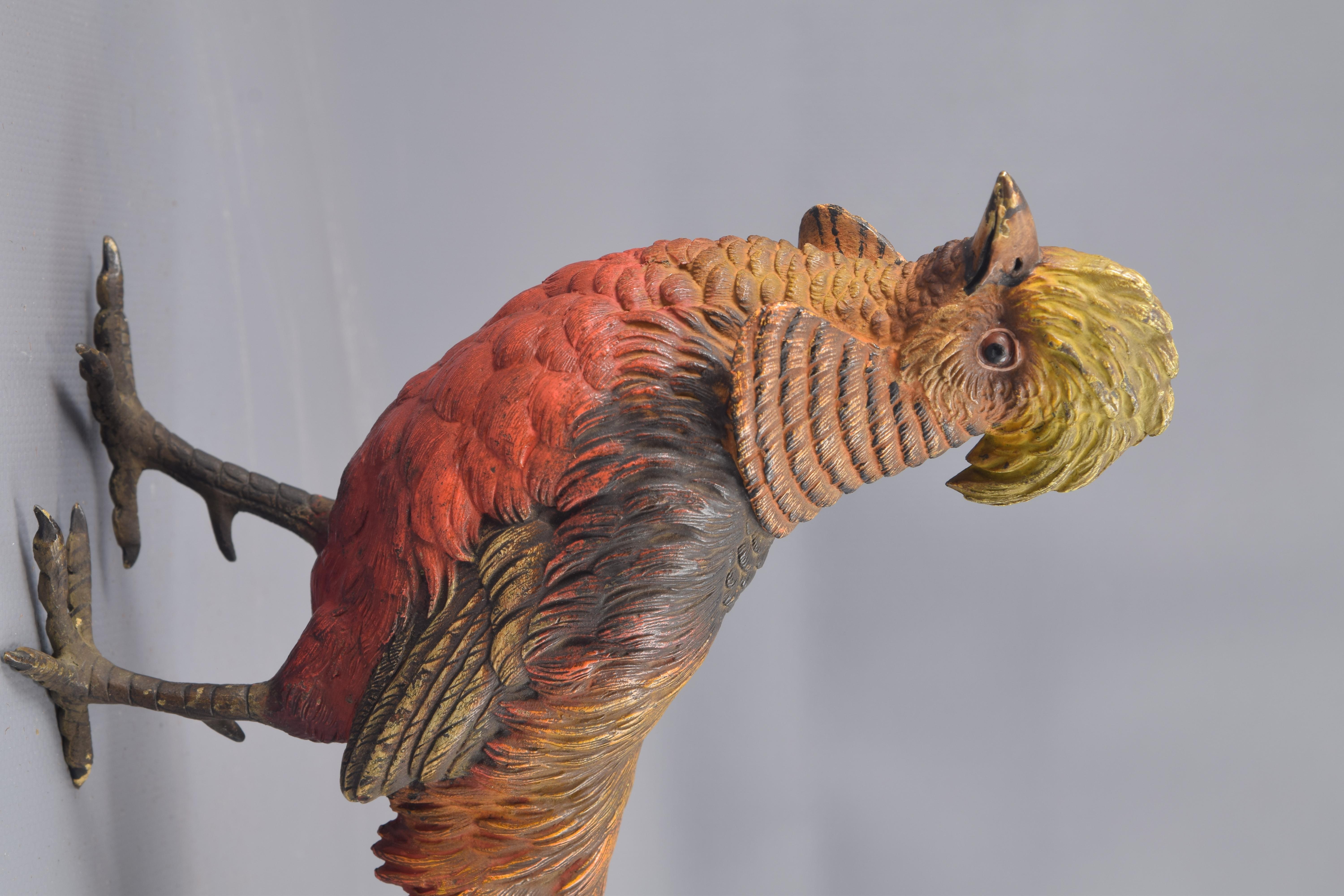 Golden Pheasant Polychrome Bronze Vienna, 19th Century In Good Condition For Sale In Madrid, ES