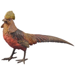 Golden Pheasant Polychrome Bronze Vienna, 19th Century