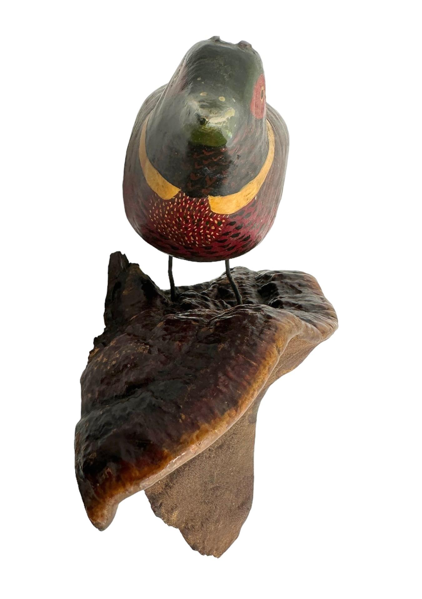 Faisán dorado Vichtauer Pájaro tallado en madera Arte popular de la Selva Negra, Austria, 1900 en venta 3