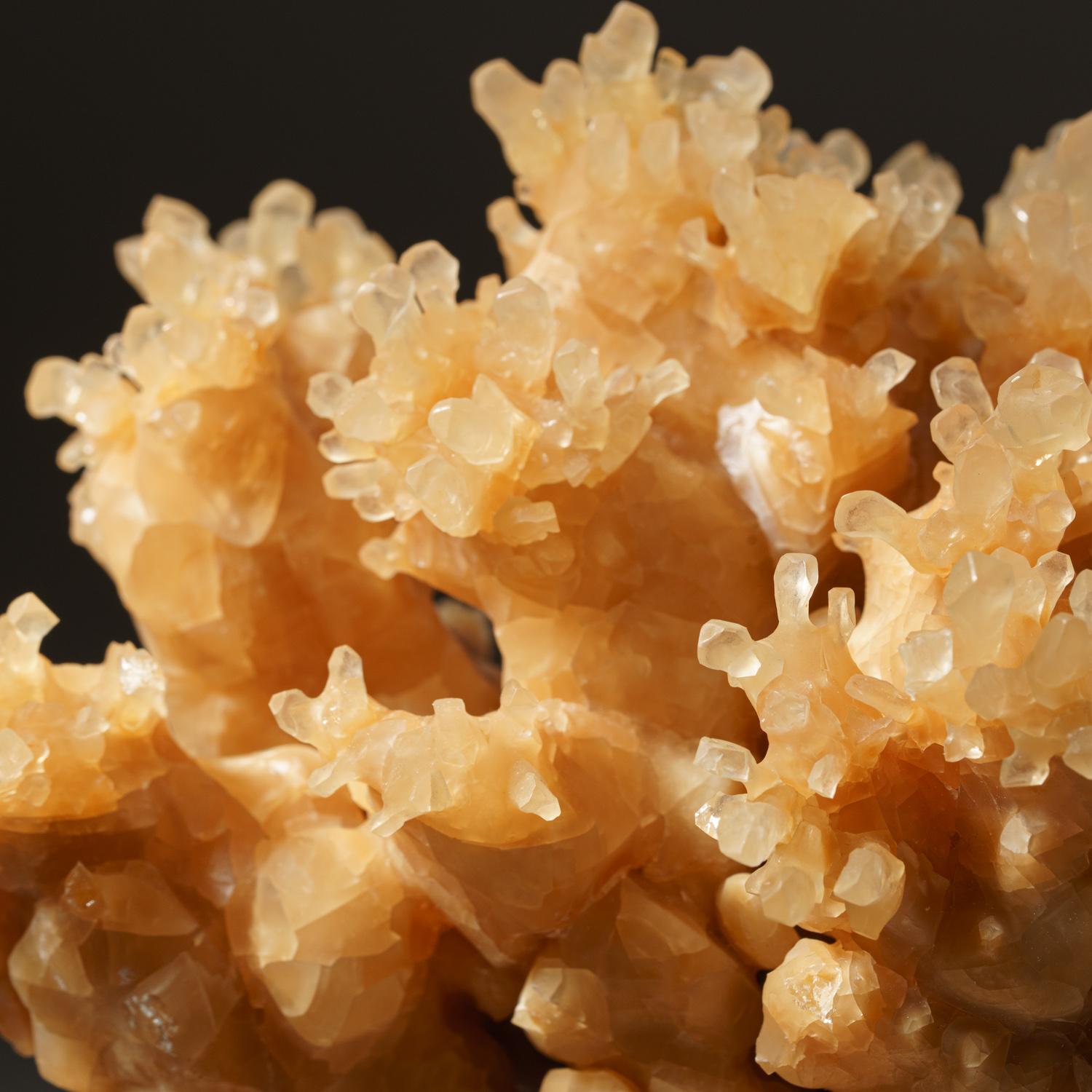 Indonesian Golden Porcupine Calcite Cluster from Java, Indonesia For Sale