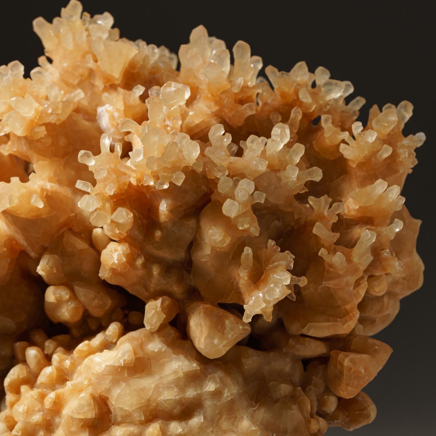 Golden Porcupine Calcite Cluster from Java, Indonesia In Excellent Condition For Sale In New York, NY